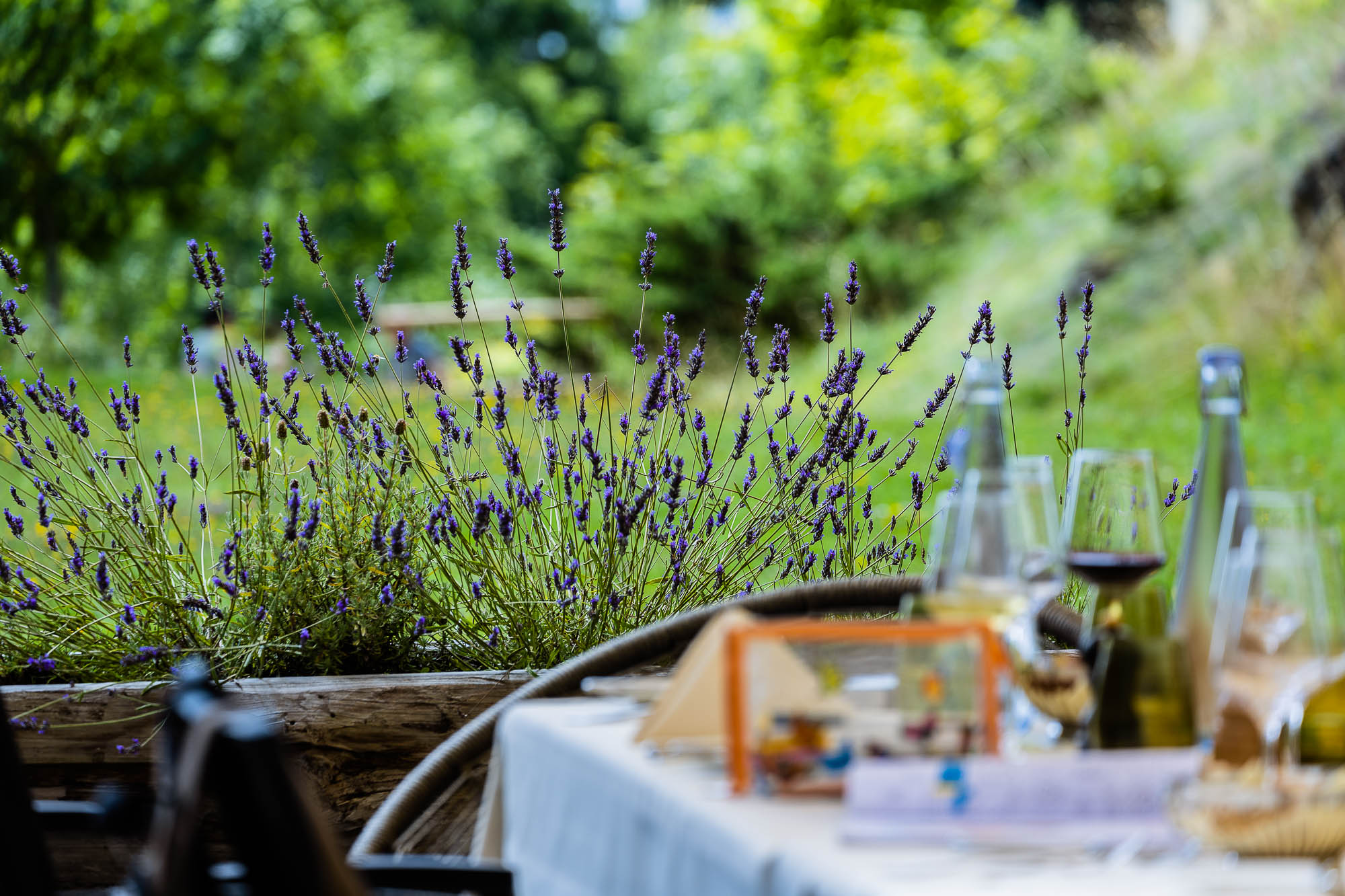 Export x3 R3  3083 Acceped