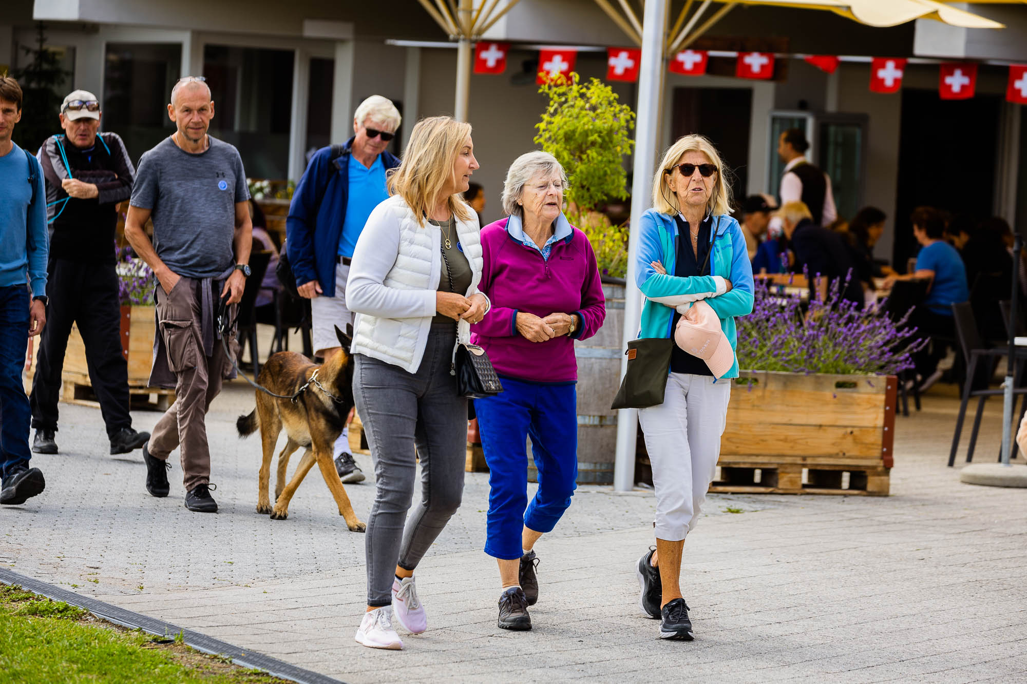 Export x3 R3  3237 Acceped