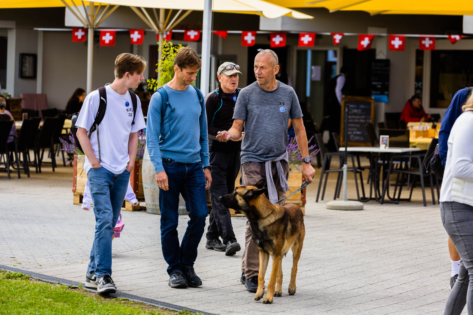 Export x3 R3  3243 Acceped