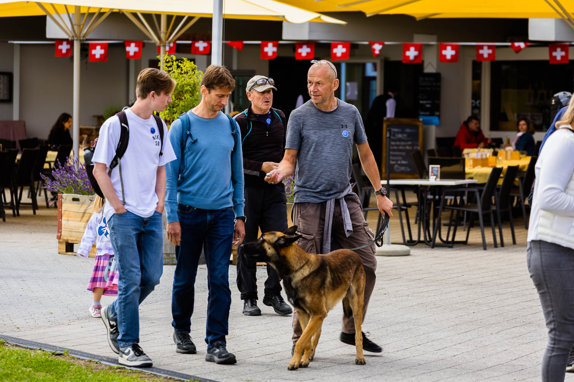 Export x3 R3  3244 Acceped