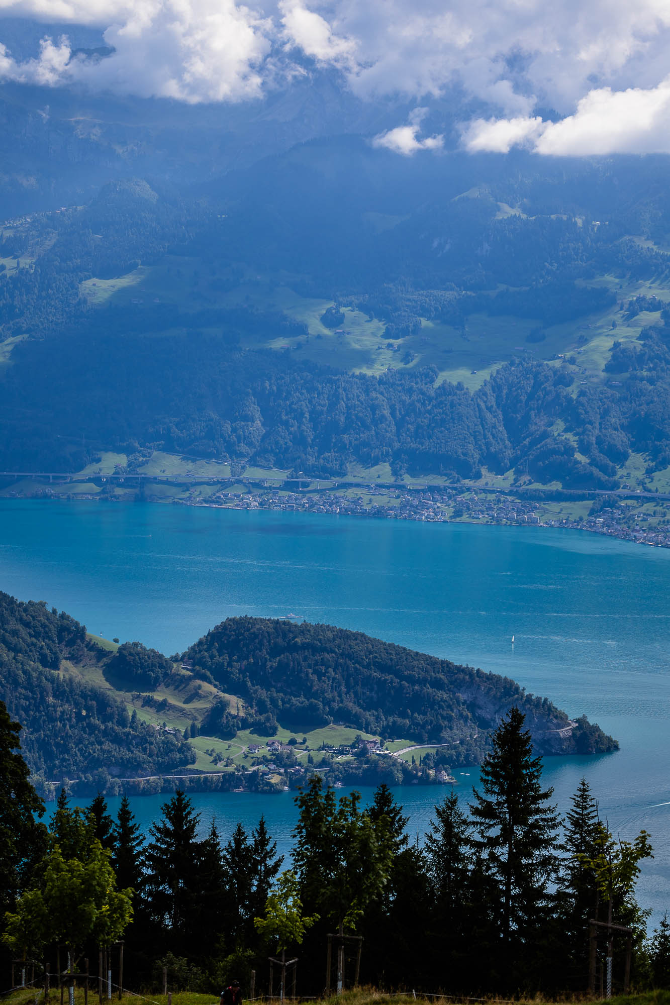 Export x3 R3  3319 Acceped