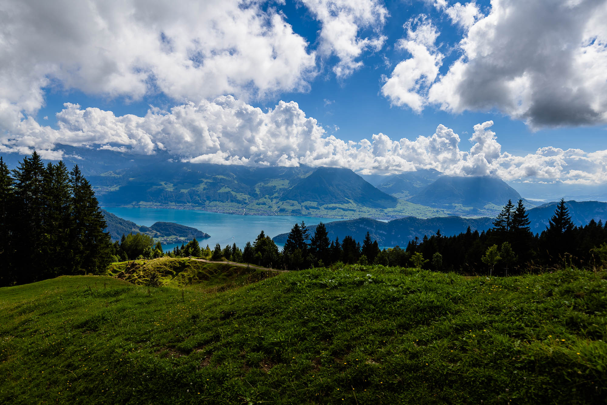 Export x3 R3  3321 Acceped