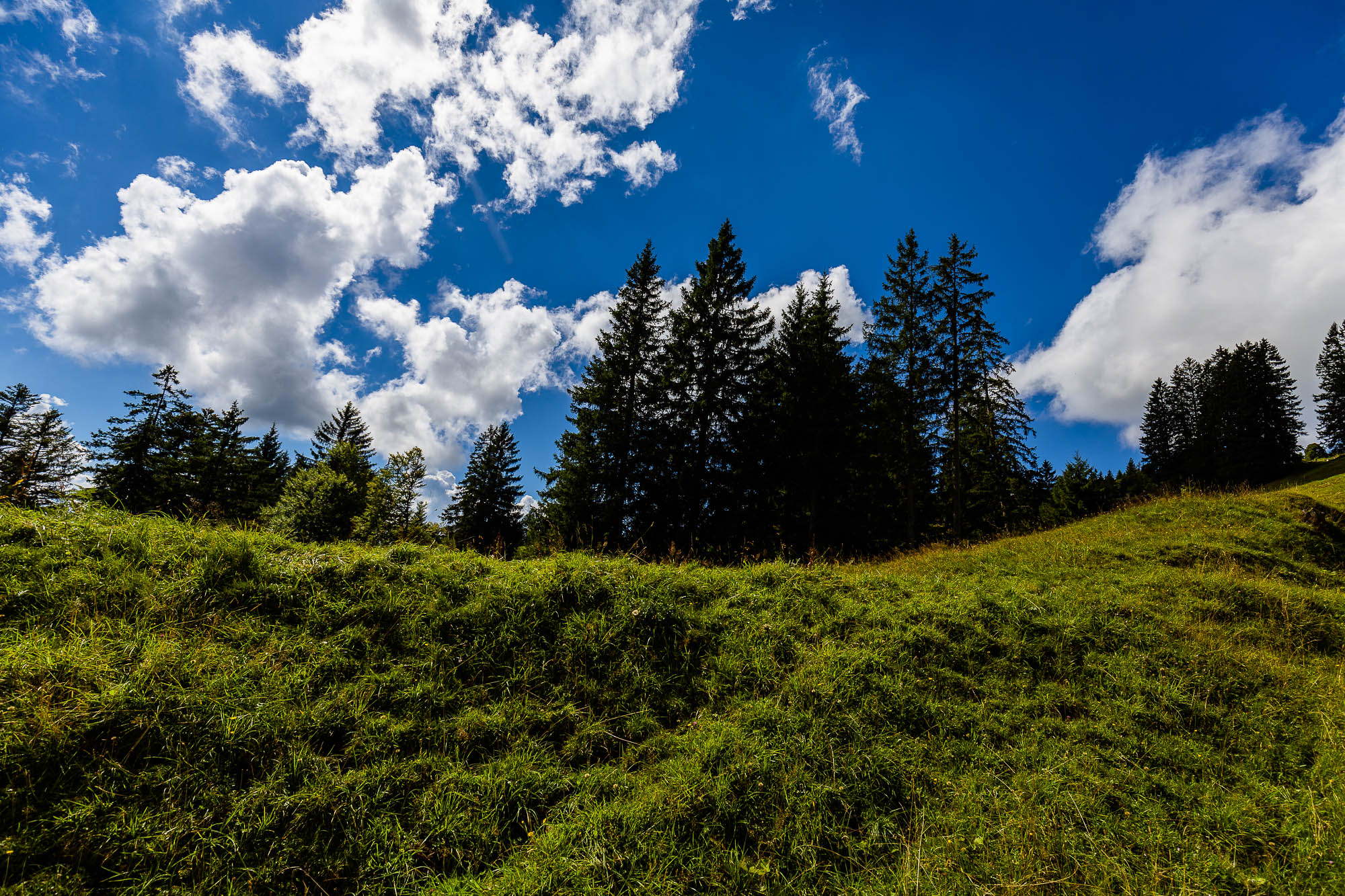 Export x3 R3  3325 Acceped