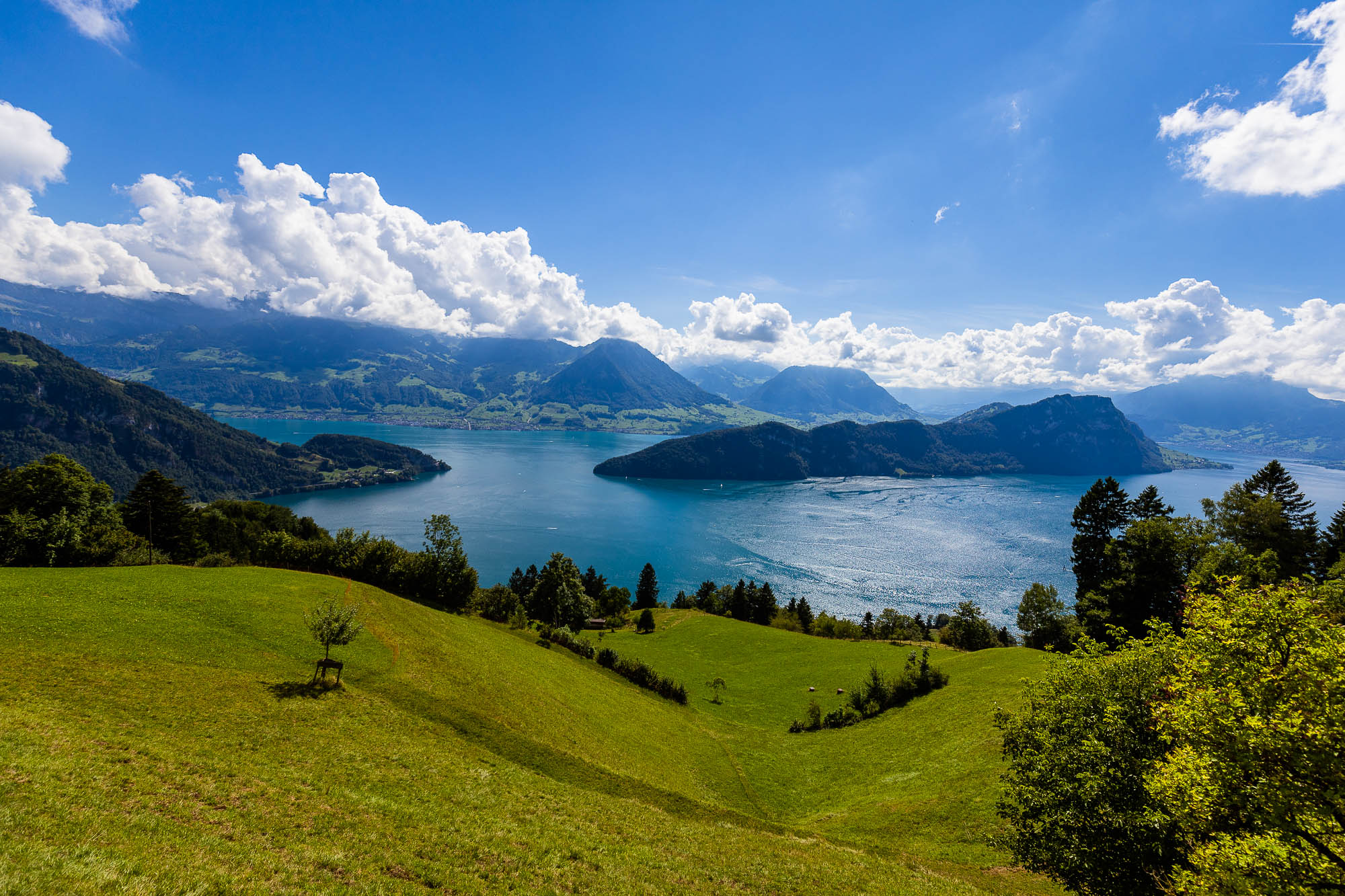 Export x3 R3  3326 Acceped