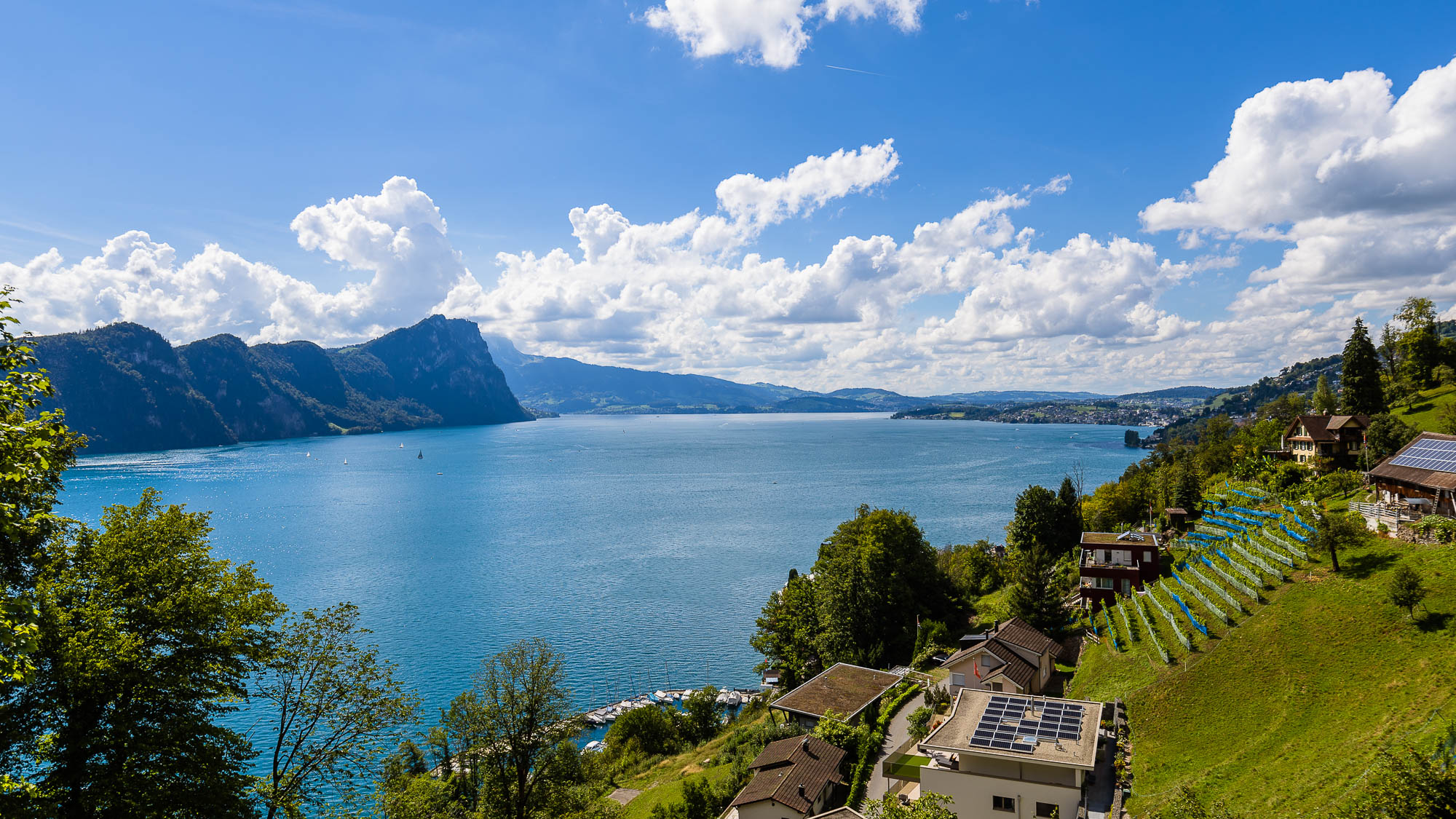 Export x3 R3  3334 Acceped