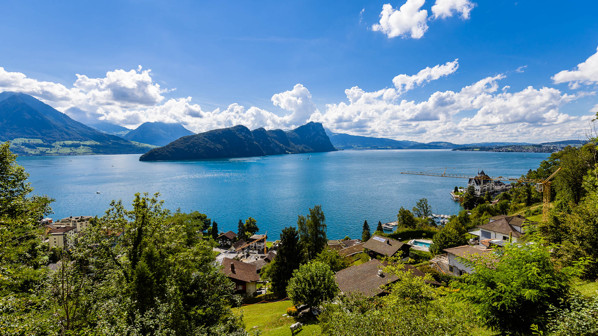 Export x3 R3  3336 Acceped