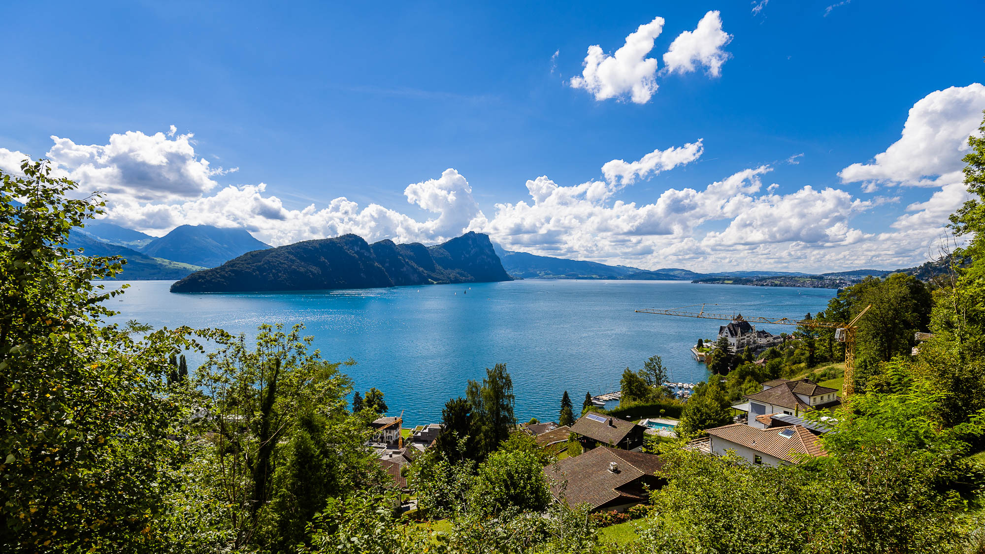 Export x3 R3  3338 Acceped