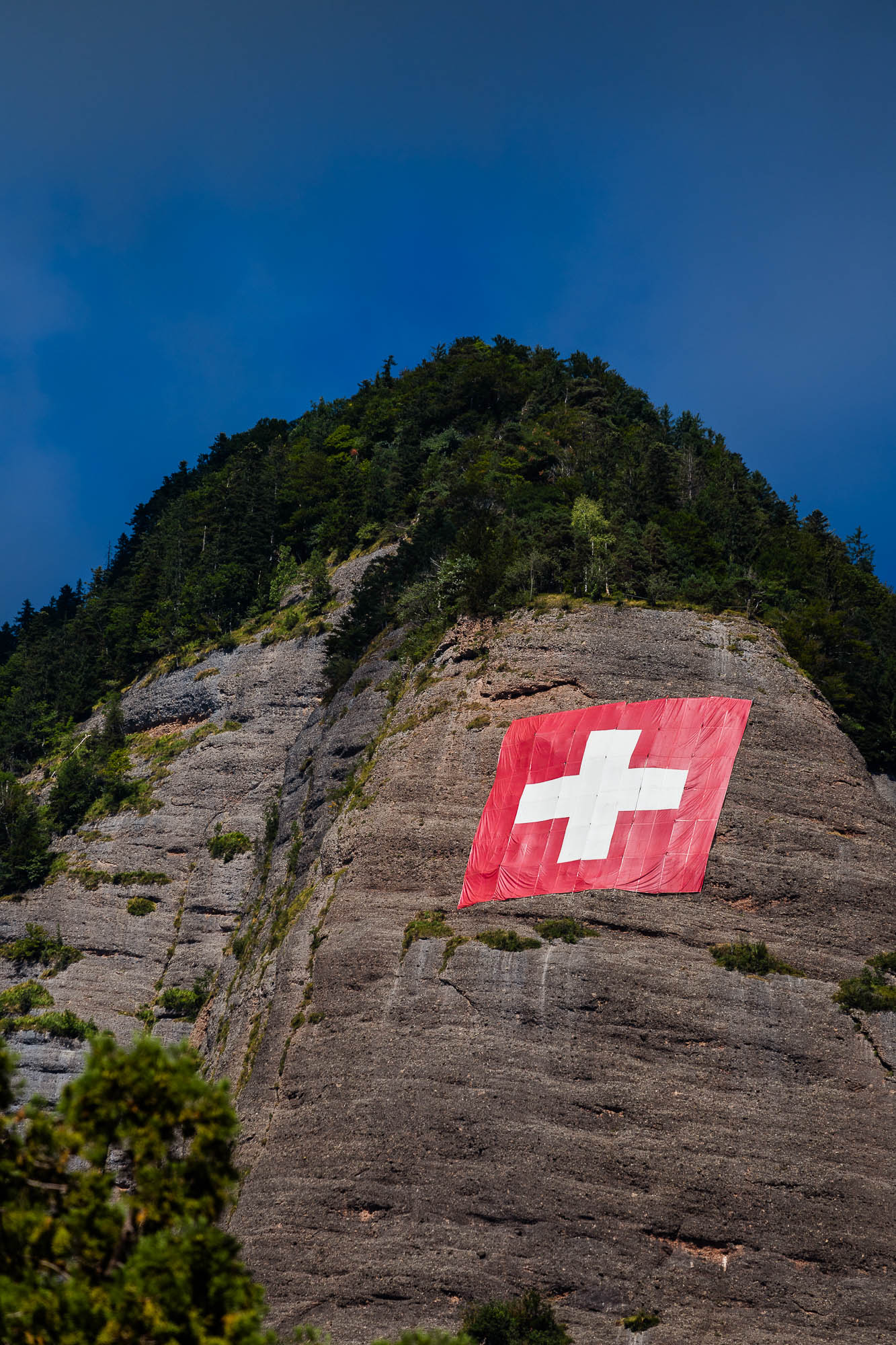 Export x3 R3  3372 Acceped