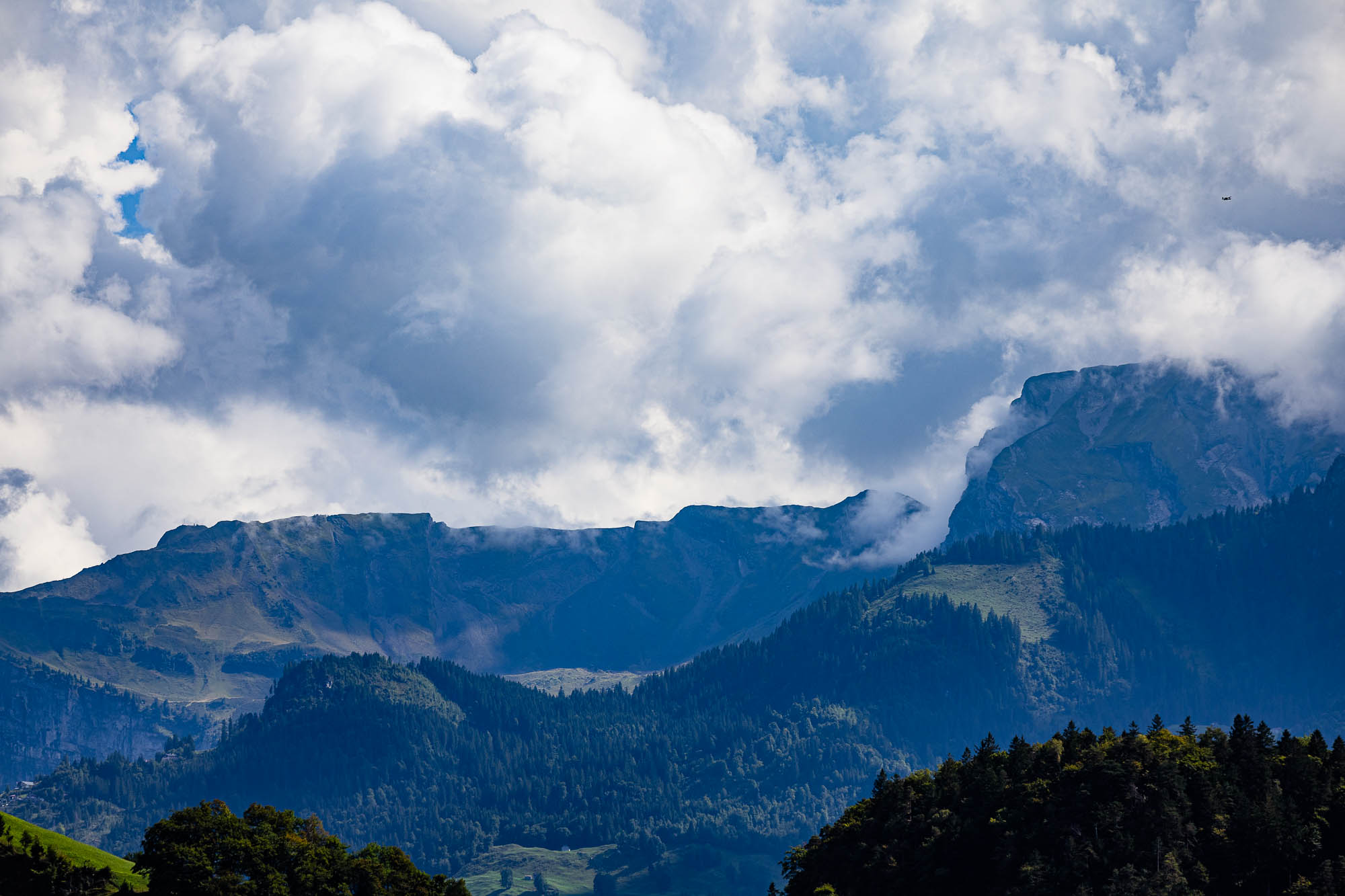 Export x3 R3  3394 Acceped