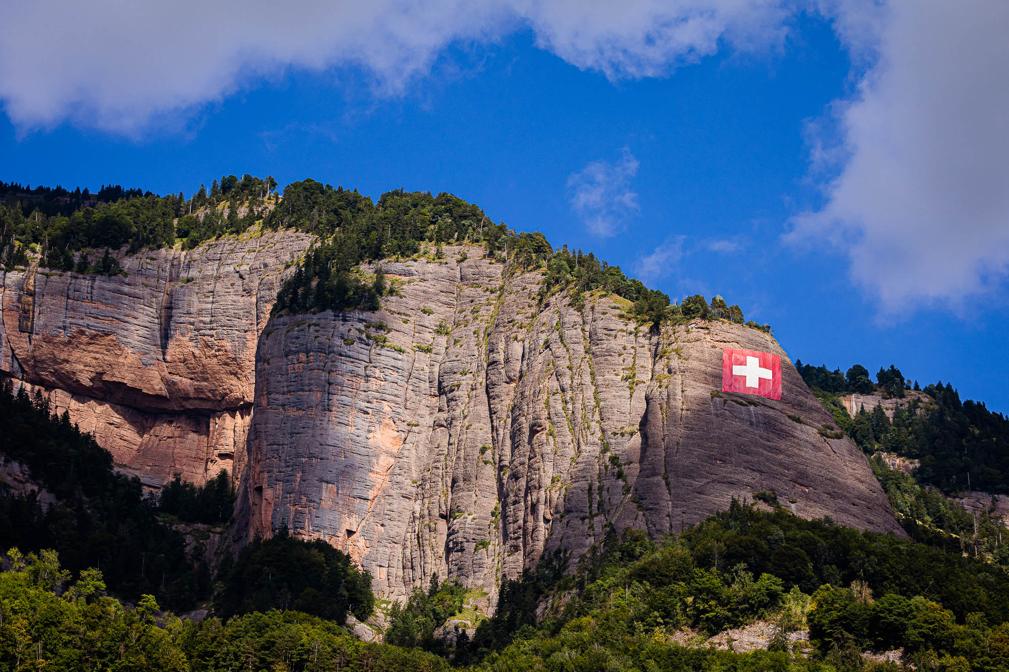 Export x3 R3  3397 Acceped