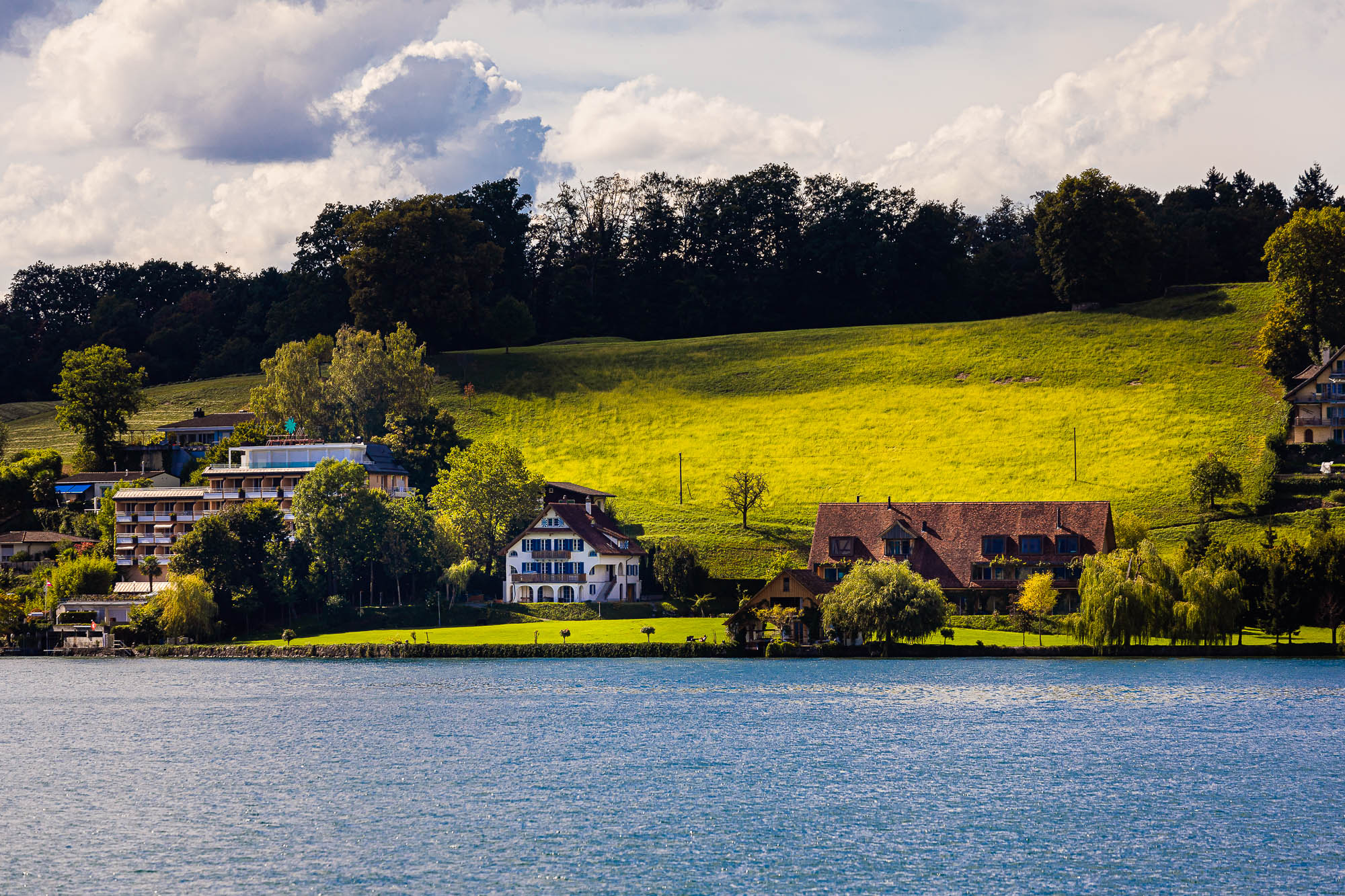 Export x3 R3  3448 Acceped