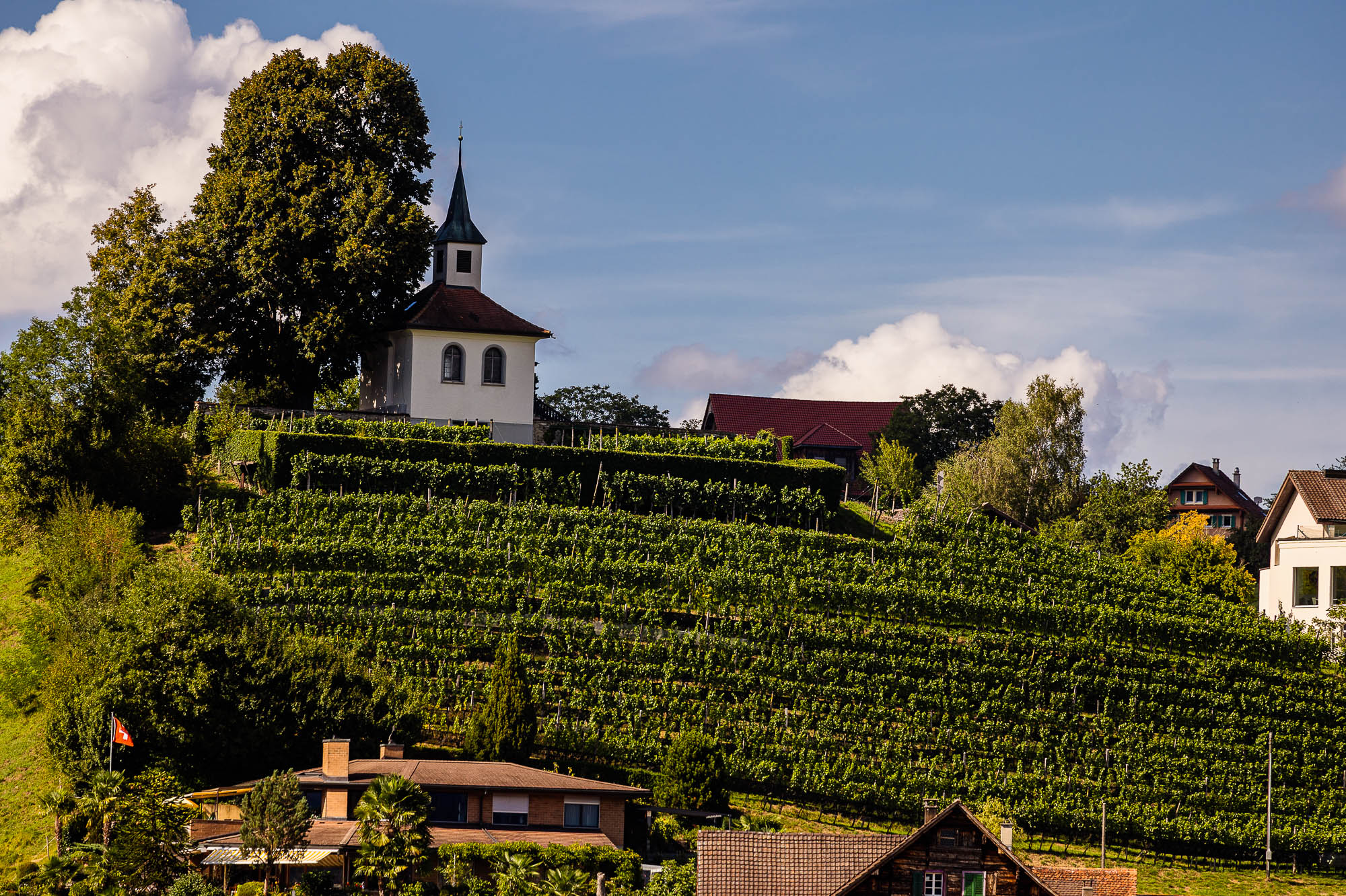 Export x3 R3  3450 Acceped