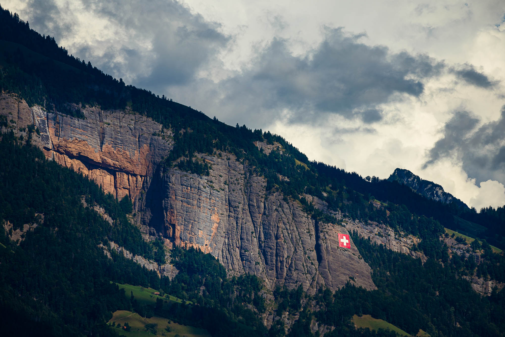 Export x3 R3  3467 Acceped