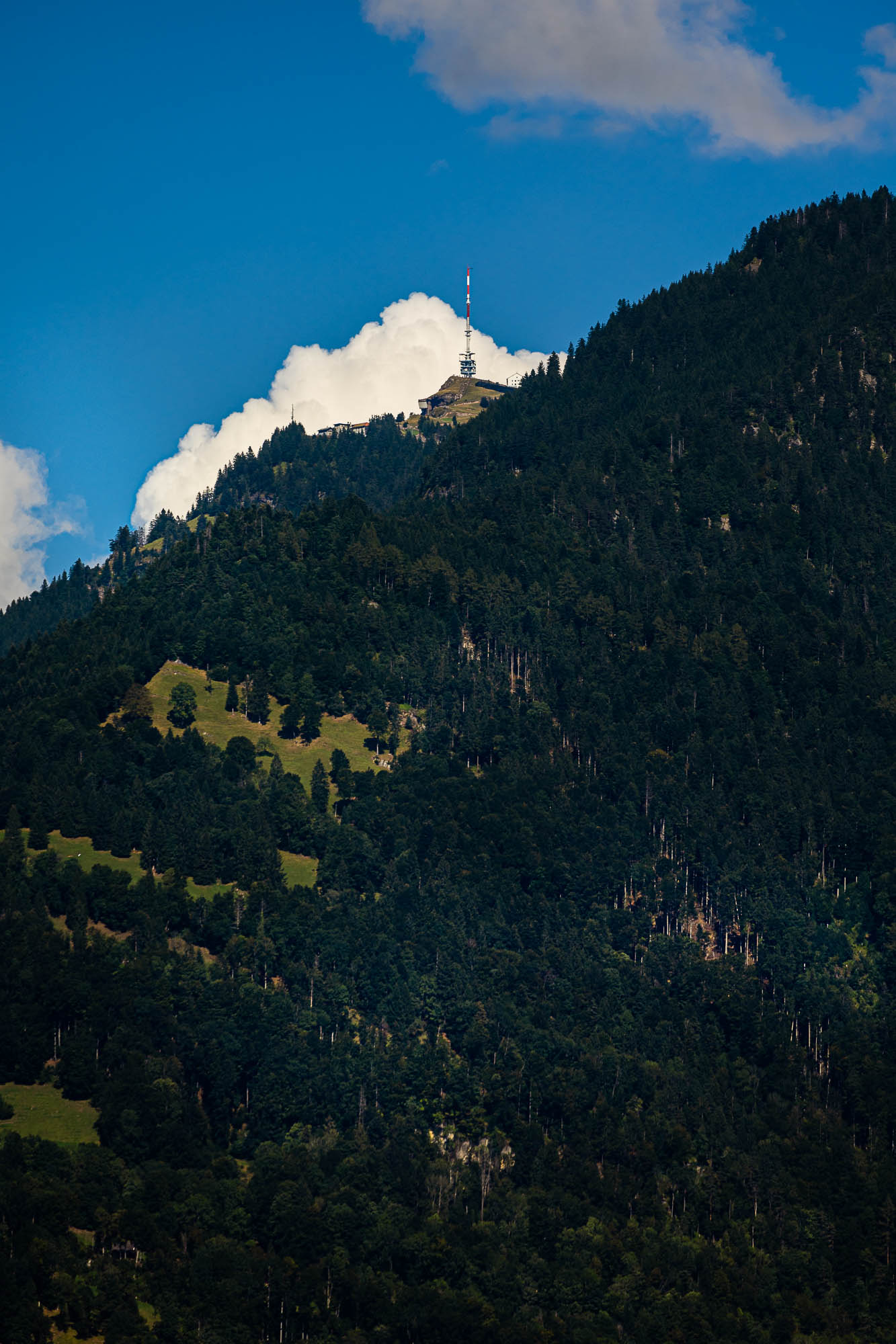 Export x3 R3  3468 Acceped