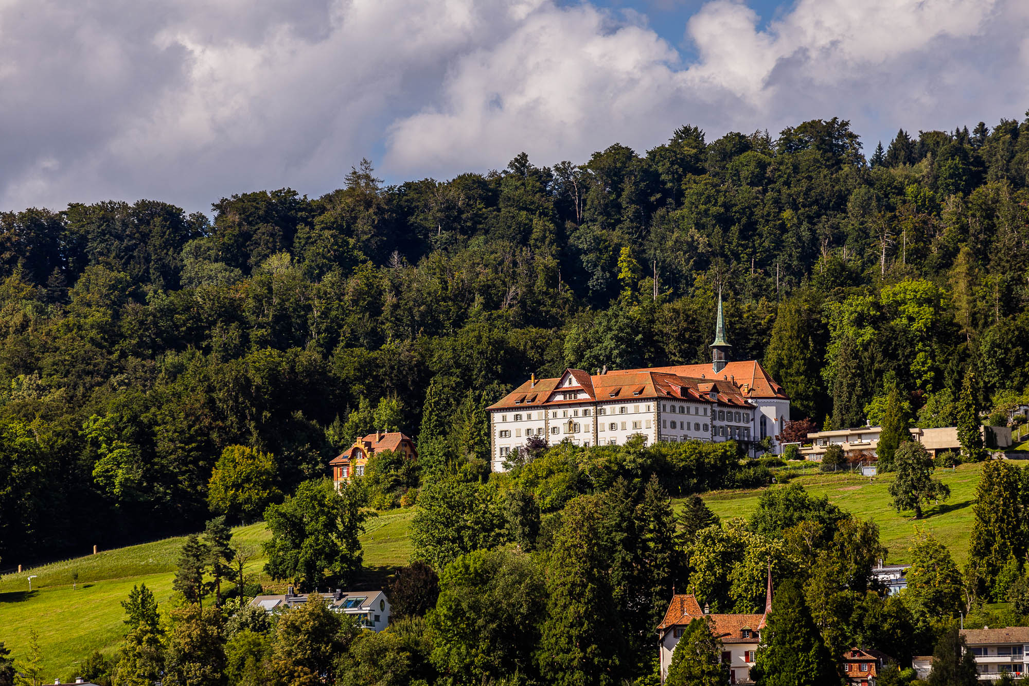 Export x3 R3  3479 Acceped