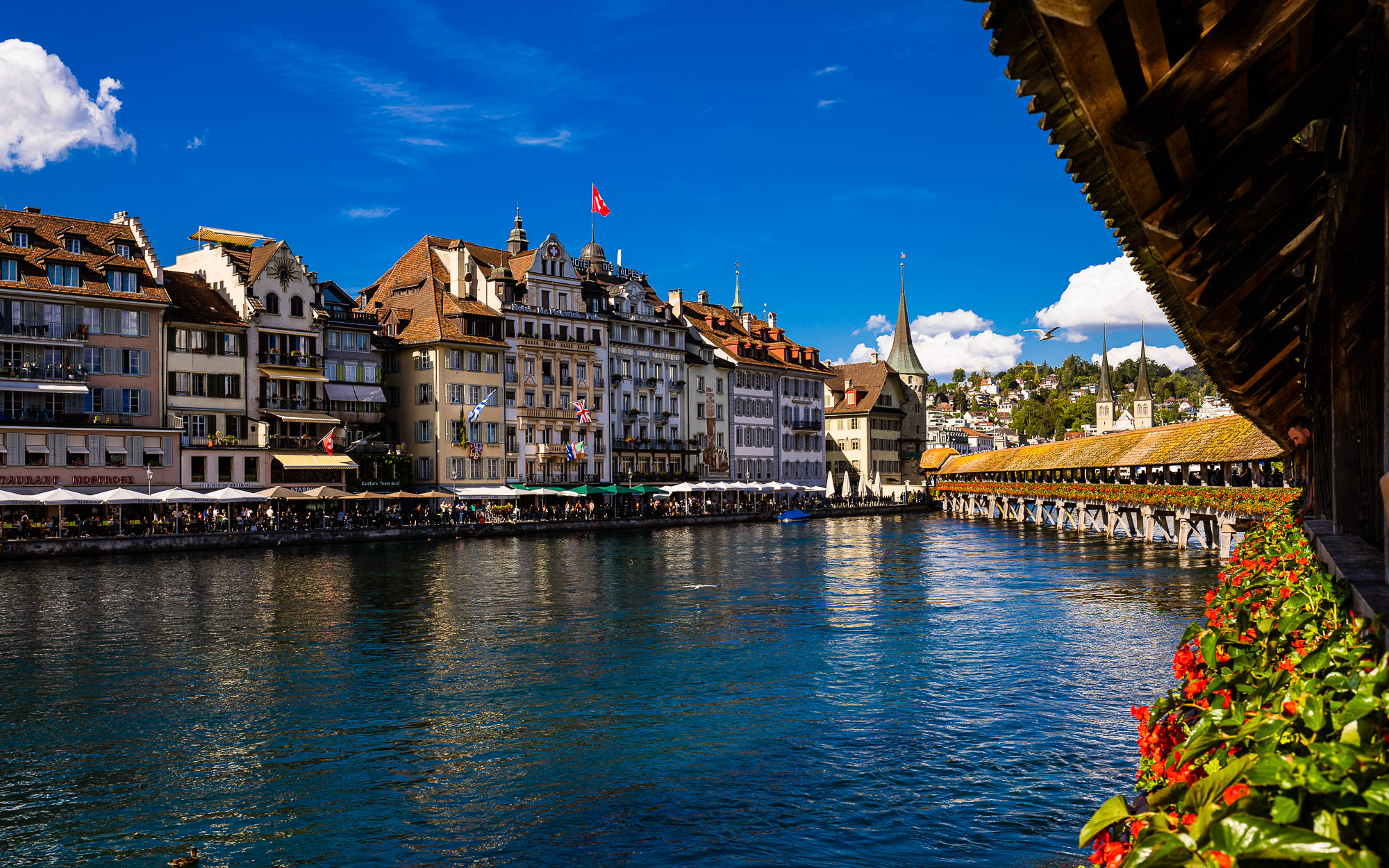 Export x3 R3  3541 Acceped