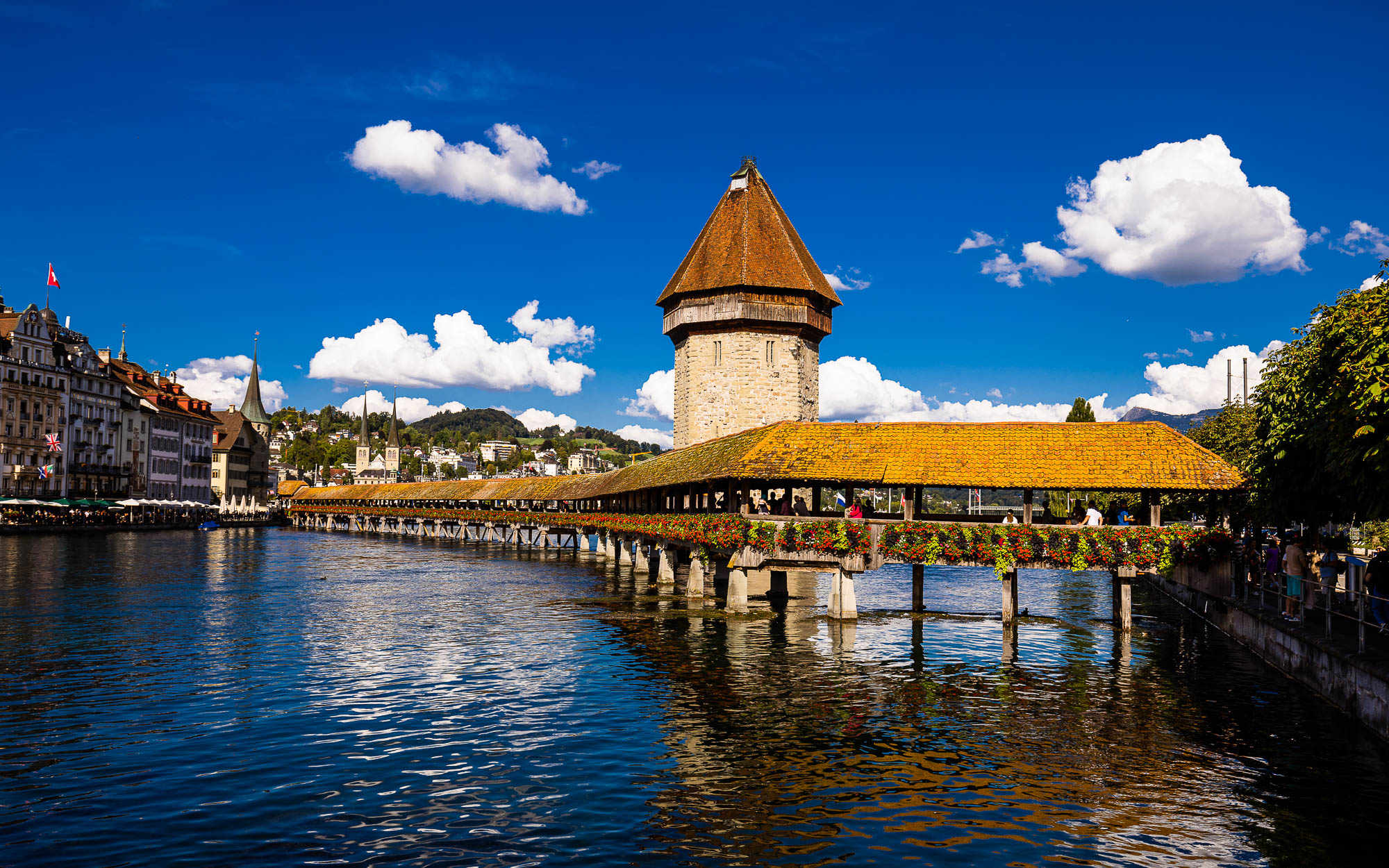 Export x3 R3  3542 Acceped