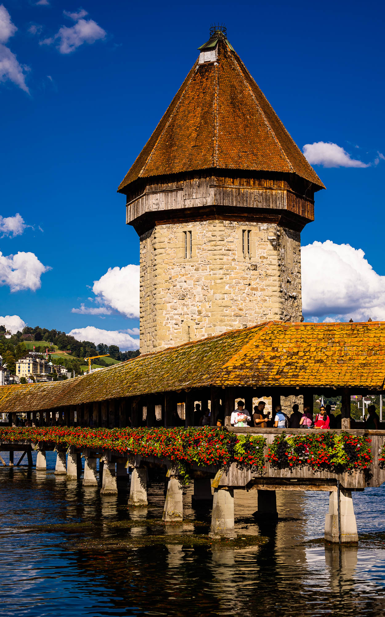 Export x3 R3  3544 Acceped