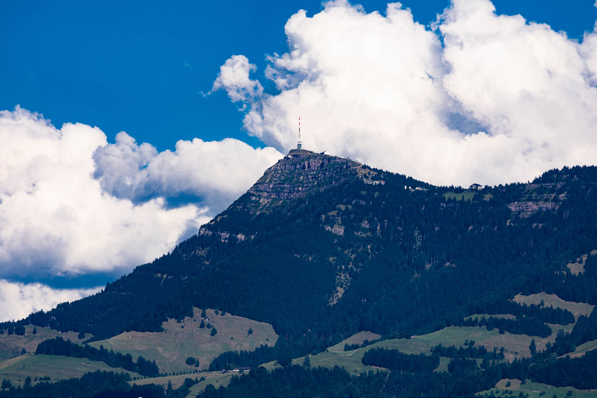 Export x3 R3  3548 Acceped