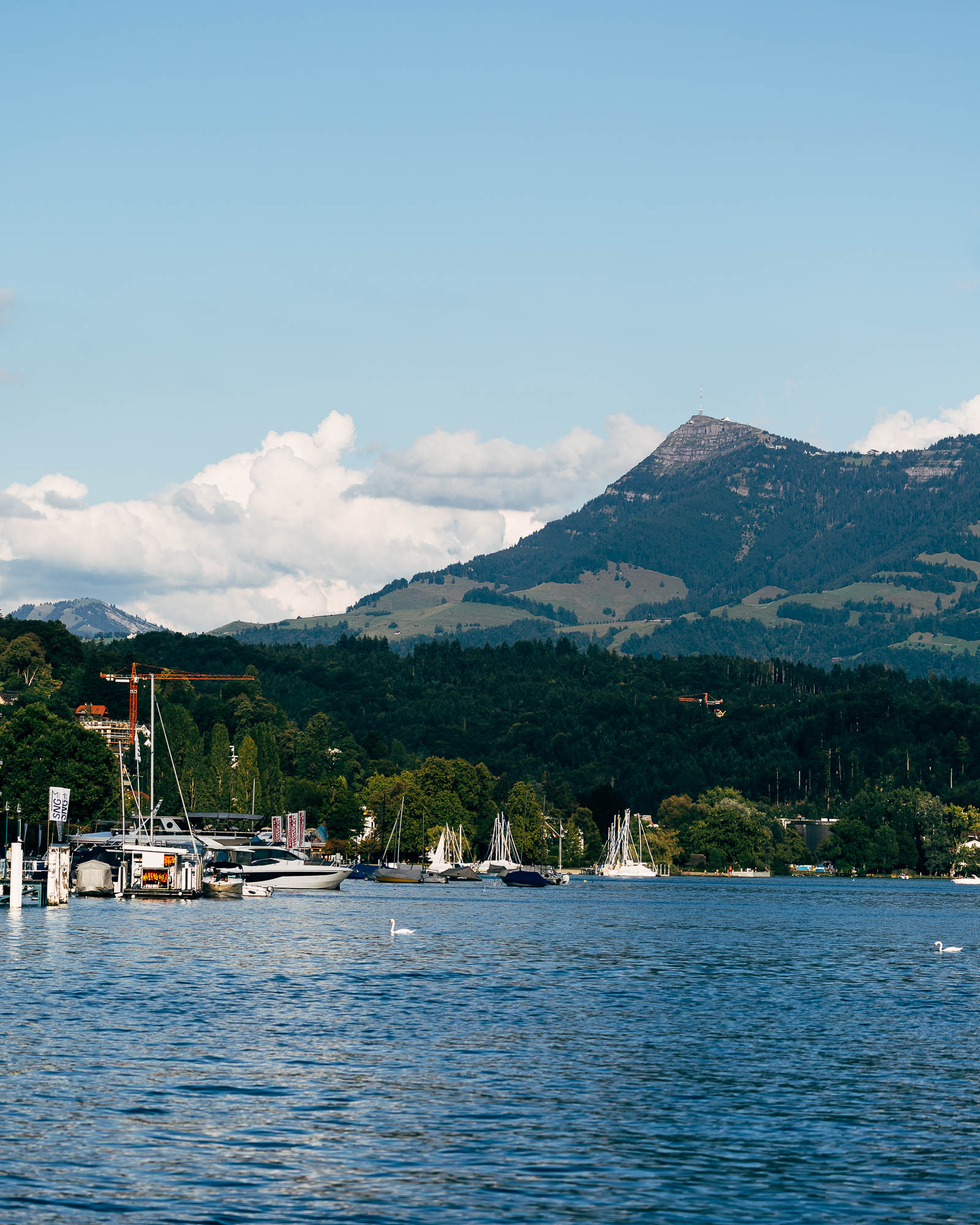 Export x3 R3  3612 Acceped