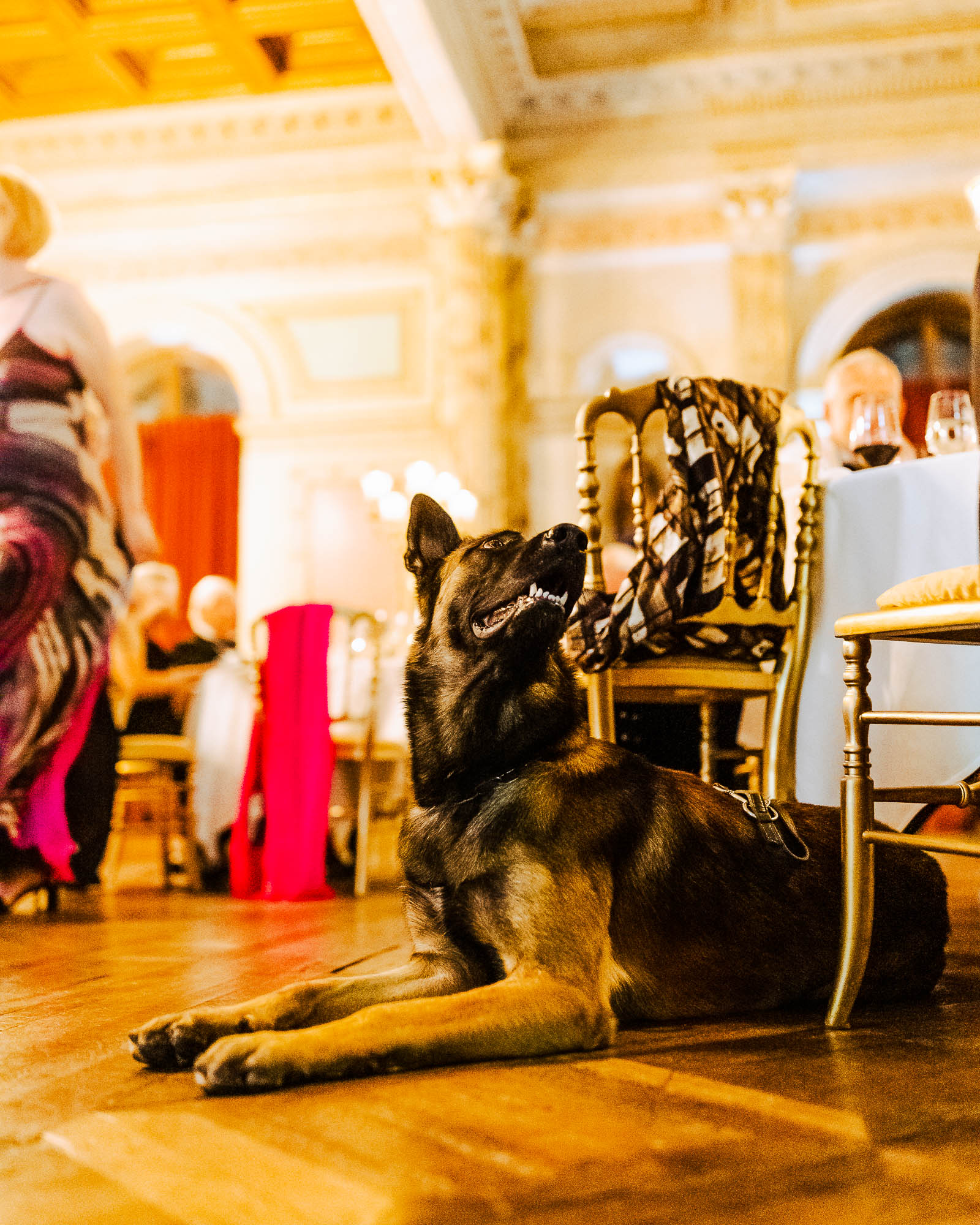 Export x3 R3  5149 Acceped