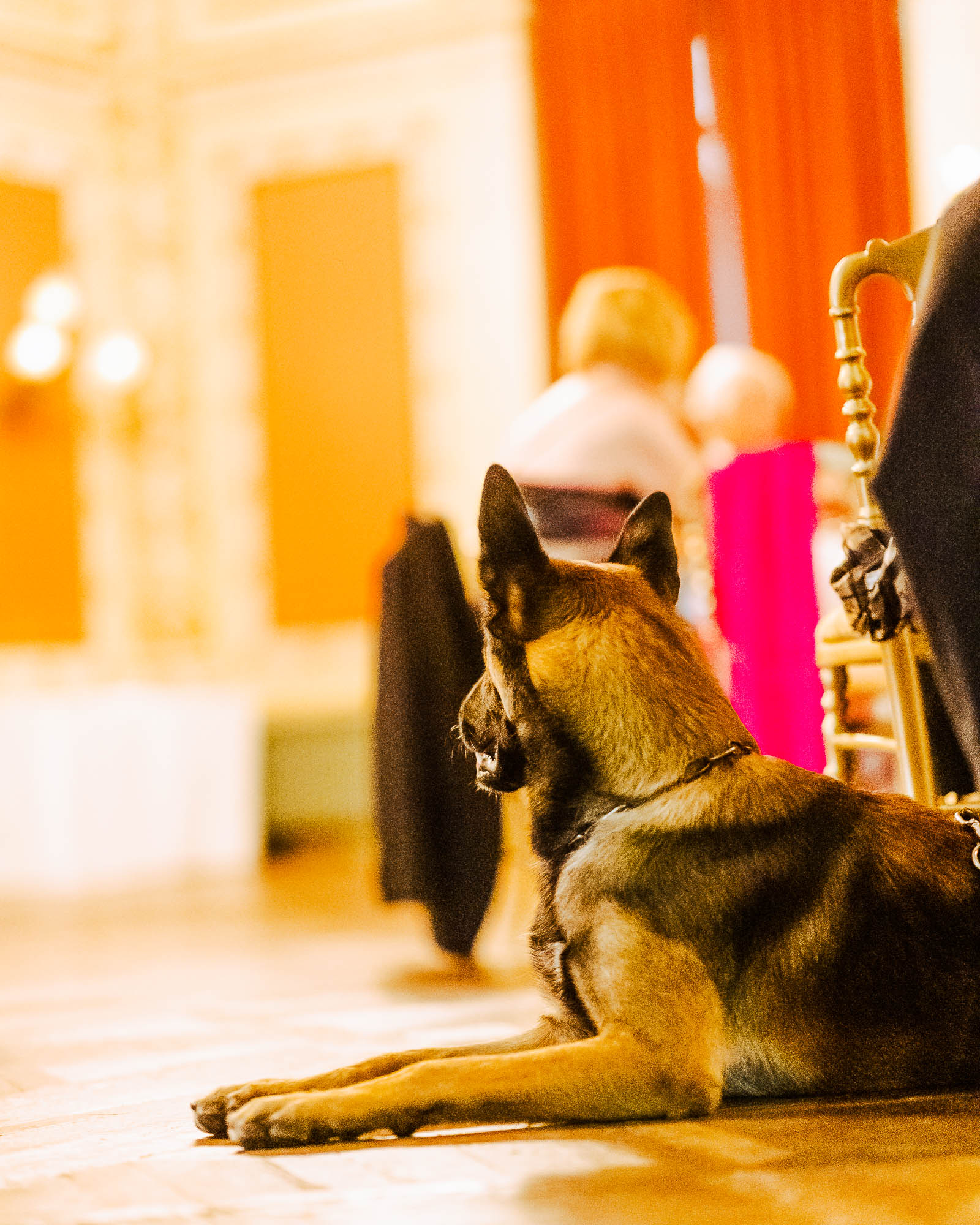 Export x3 R3  5160 Acceped