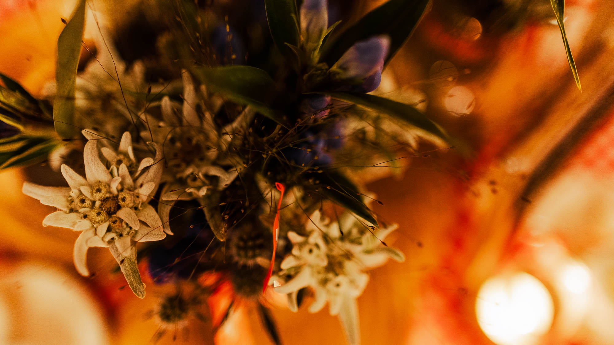 Export x3 R3  0877 Acceped