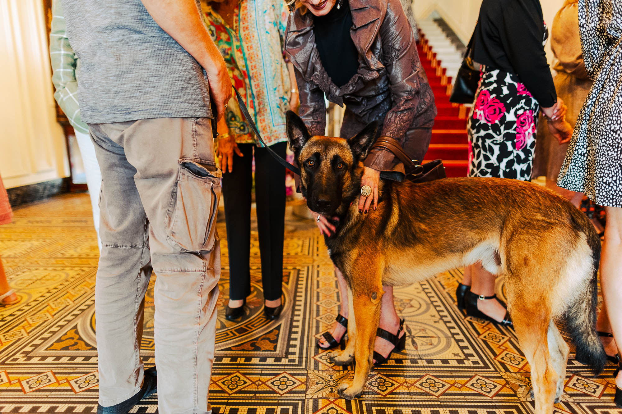 Export x3 R3  0911 Acceped