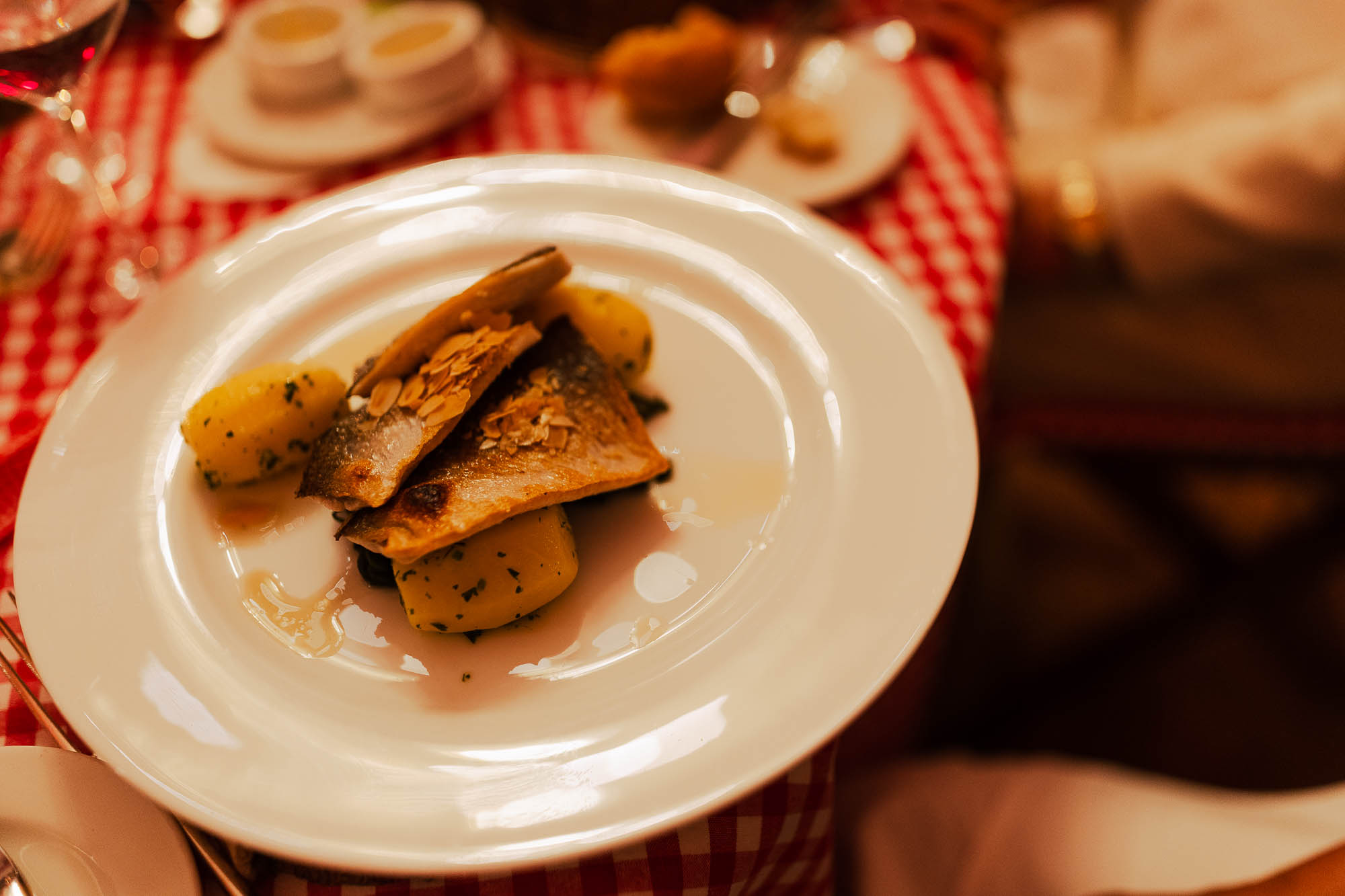 Export x3 R3  1380 Acceped