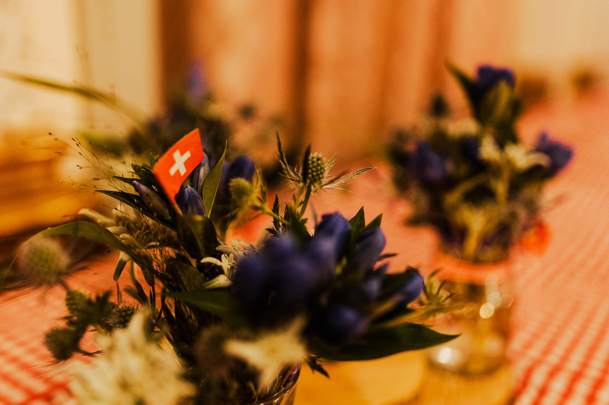 Export x3 R3  1394 Acceped