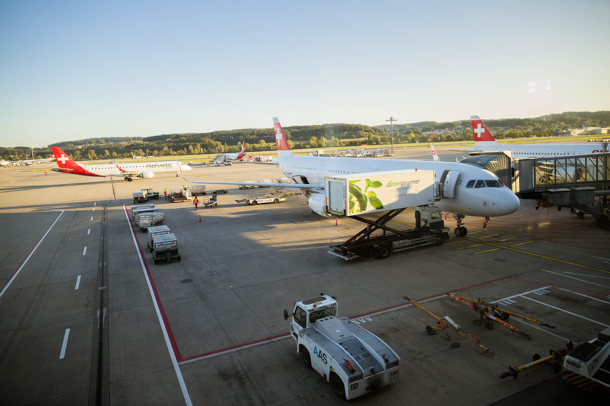 Export x3 1DX22004 Reportage