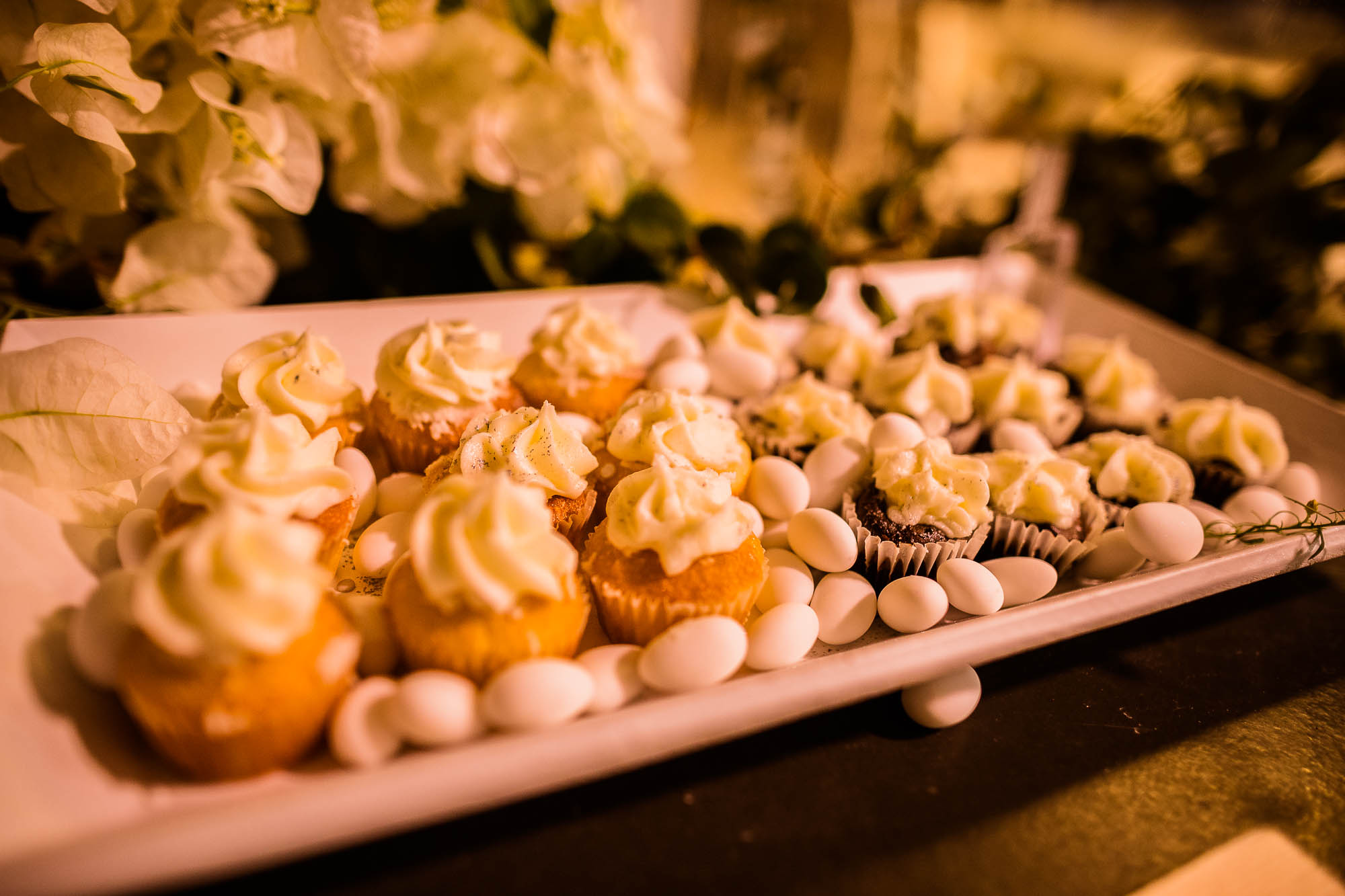 Export x3 1DX24657 Reportage