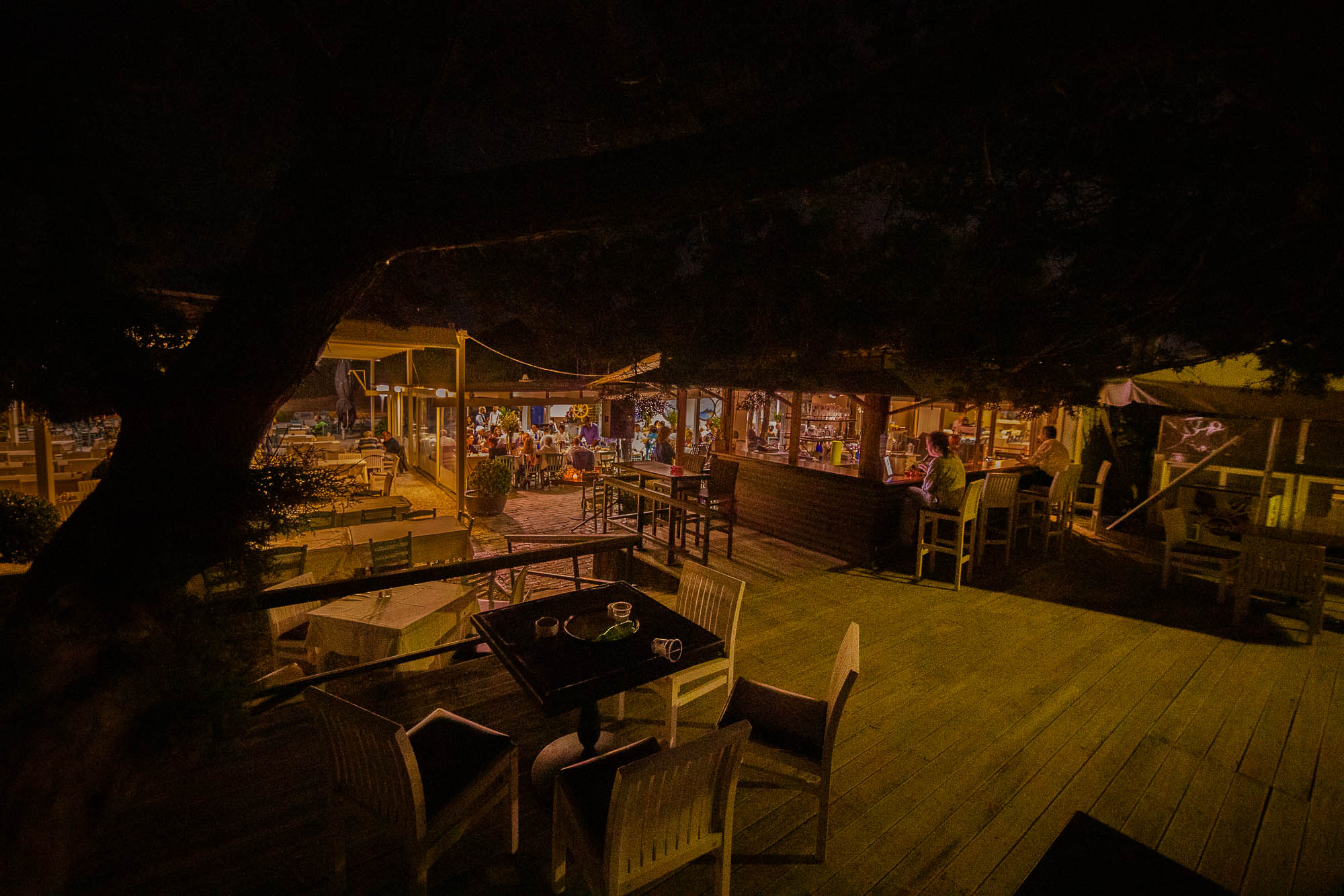 Export x3 1DX24777 Reportage