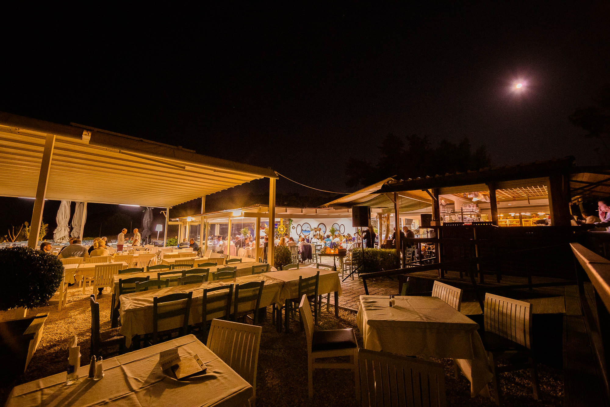 Export x3 1DX24779 Reportage