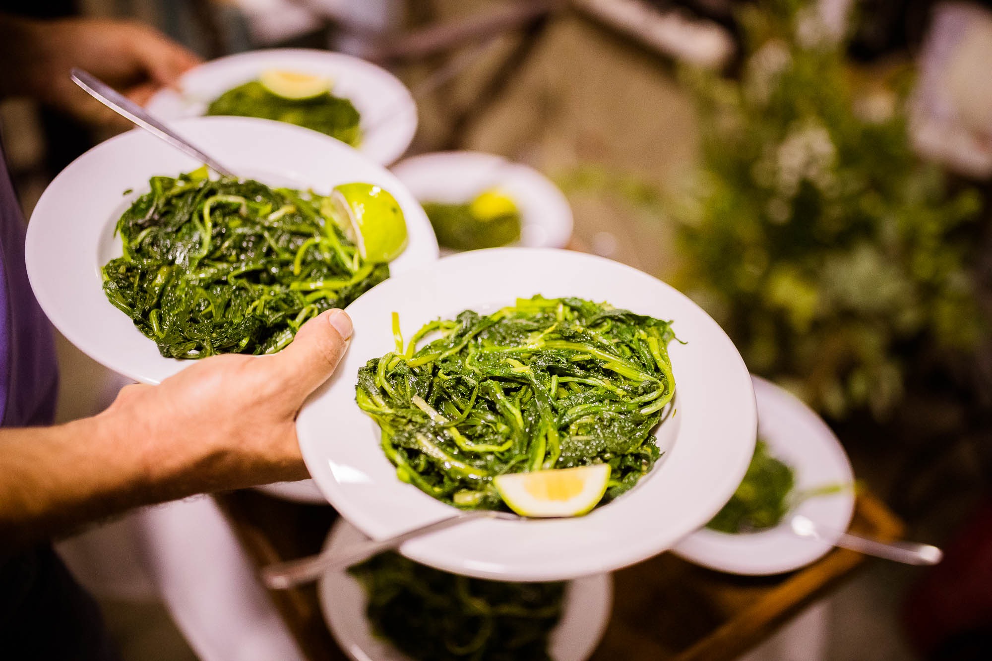 Export x3 1DX24880 Reportage