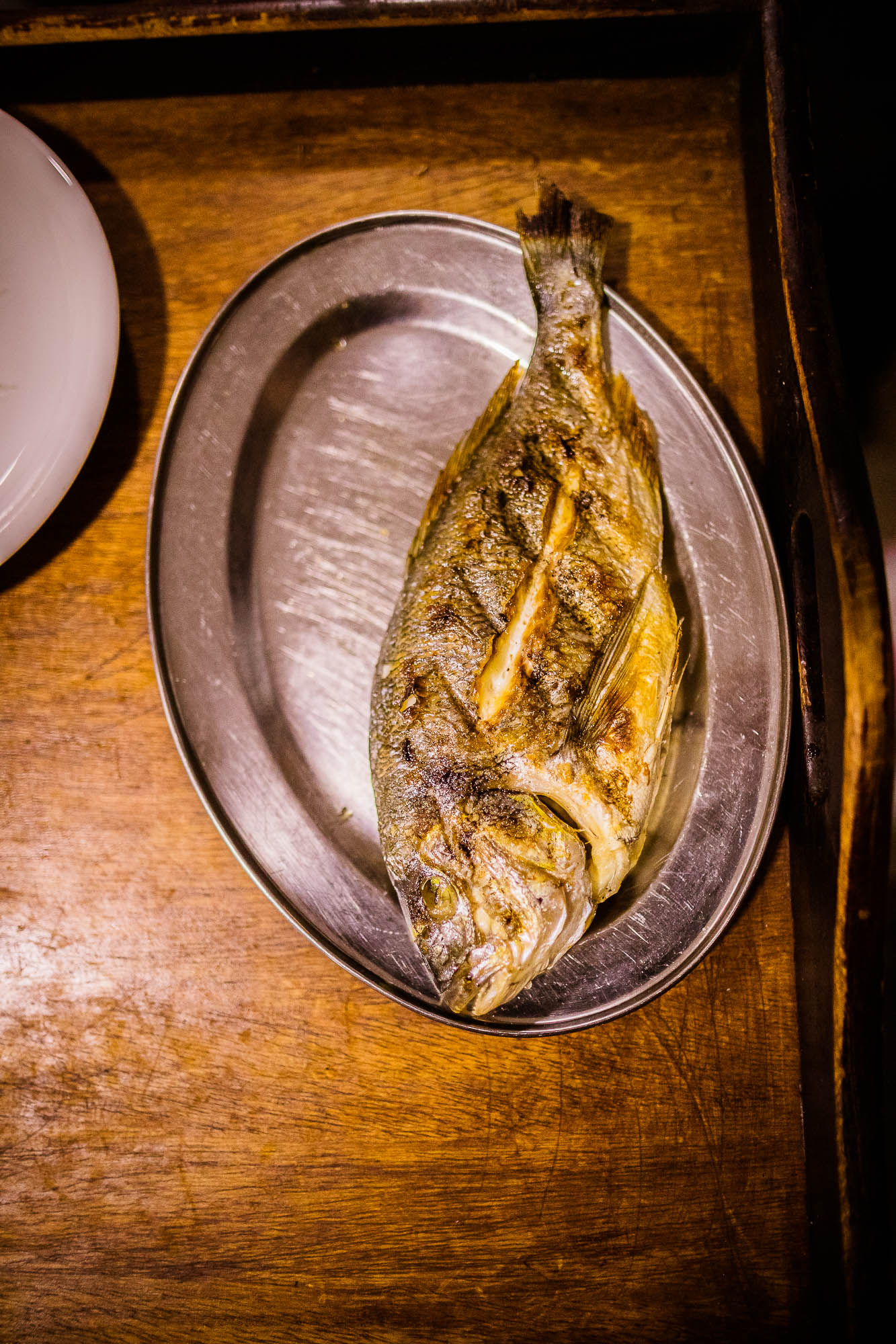 Export x3 1DX24949 Reportage