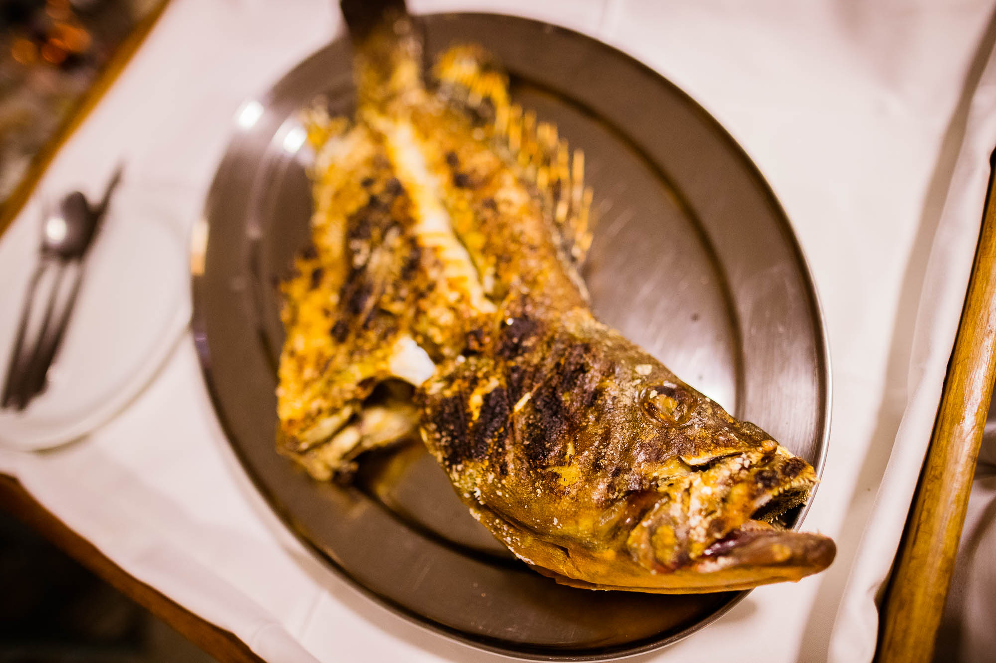 Export x3 1DX25000 Reportage