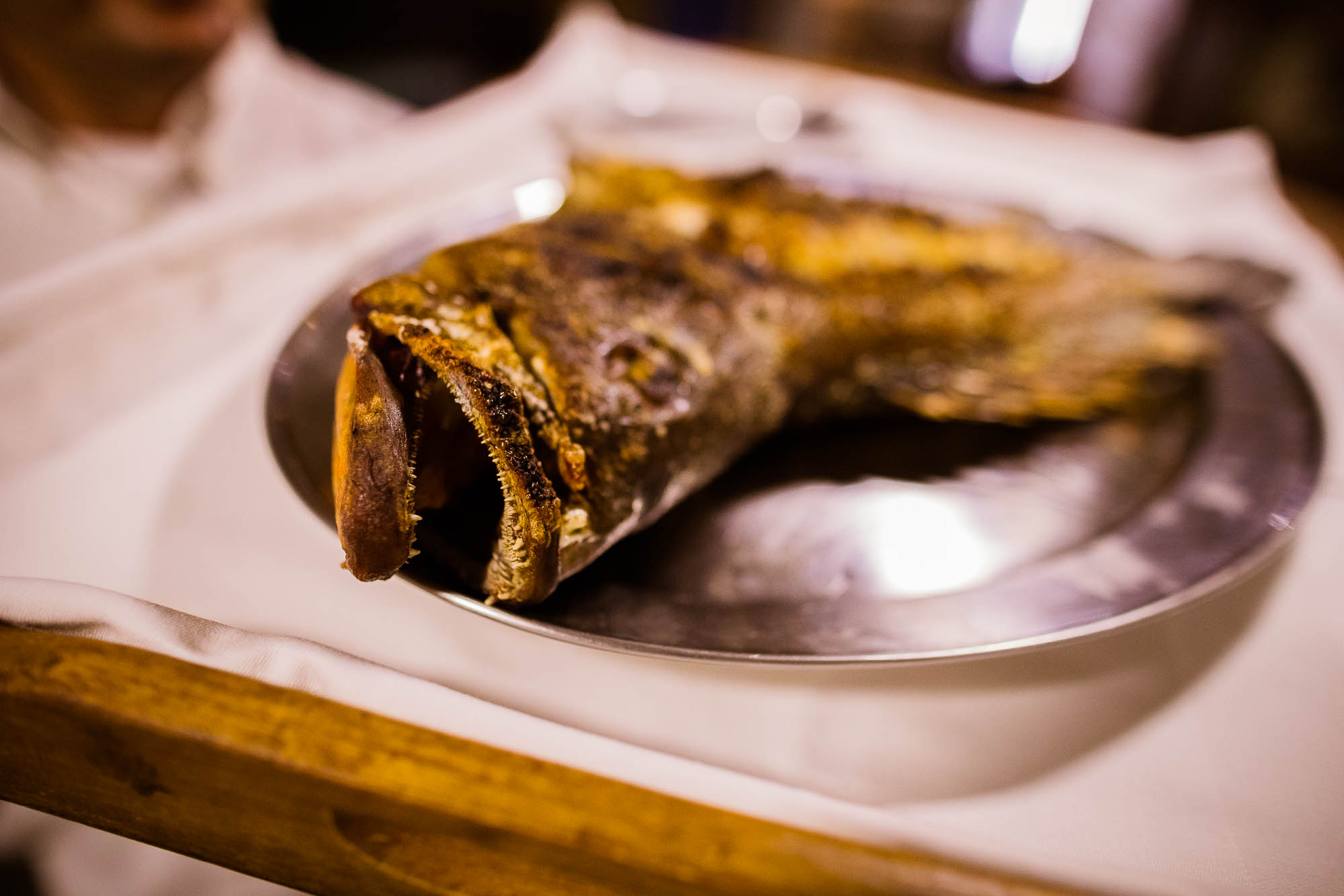 Export x3 1DX25001 Reportage