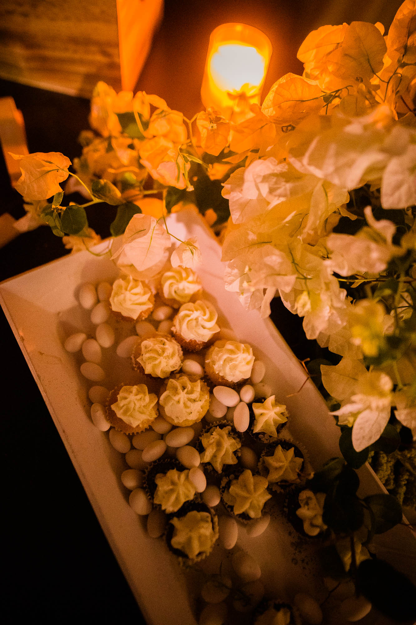 Export x3 1DX25091 Reportage