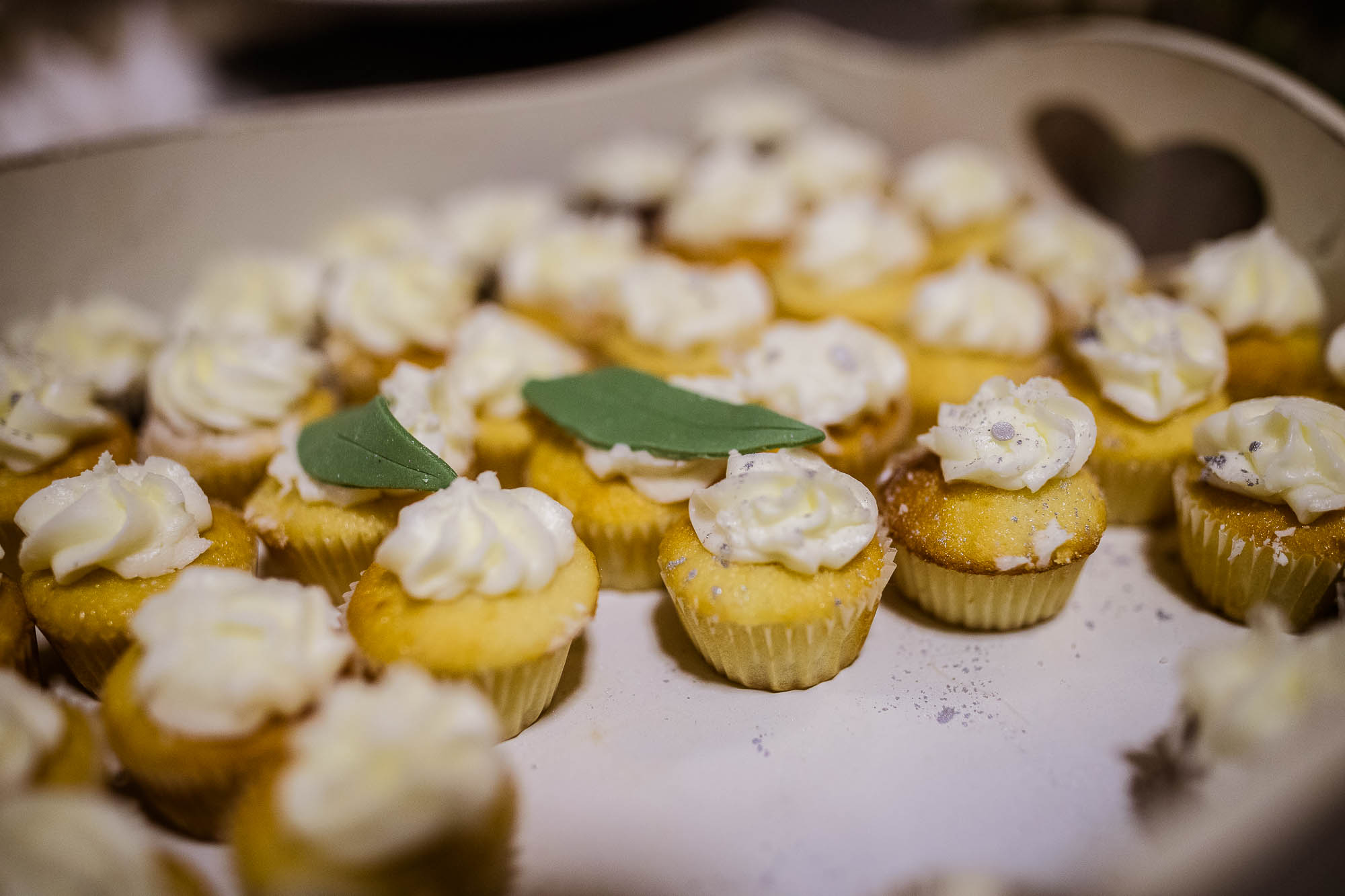 Export x3 1DX25245 Reportage