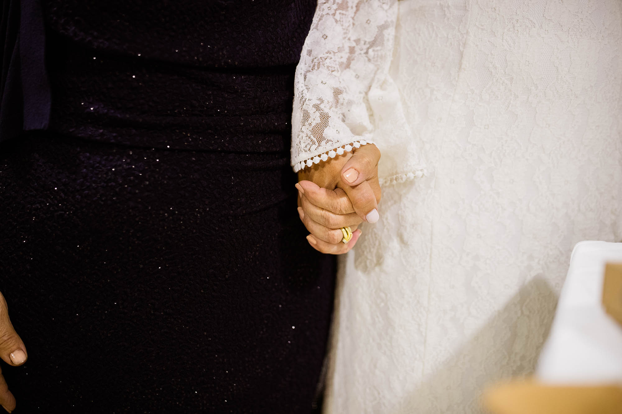 Export x3 1DX25249 Reportage