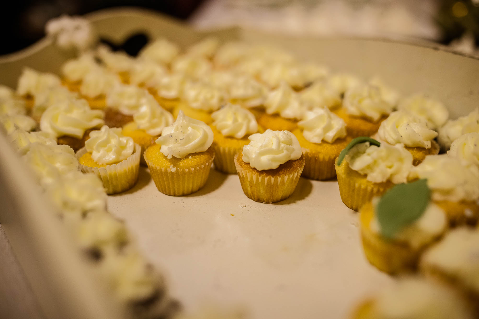 Export x3 1DX25301 Reportage