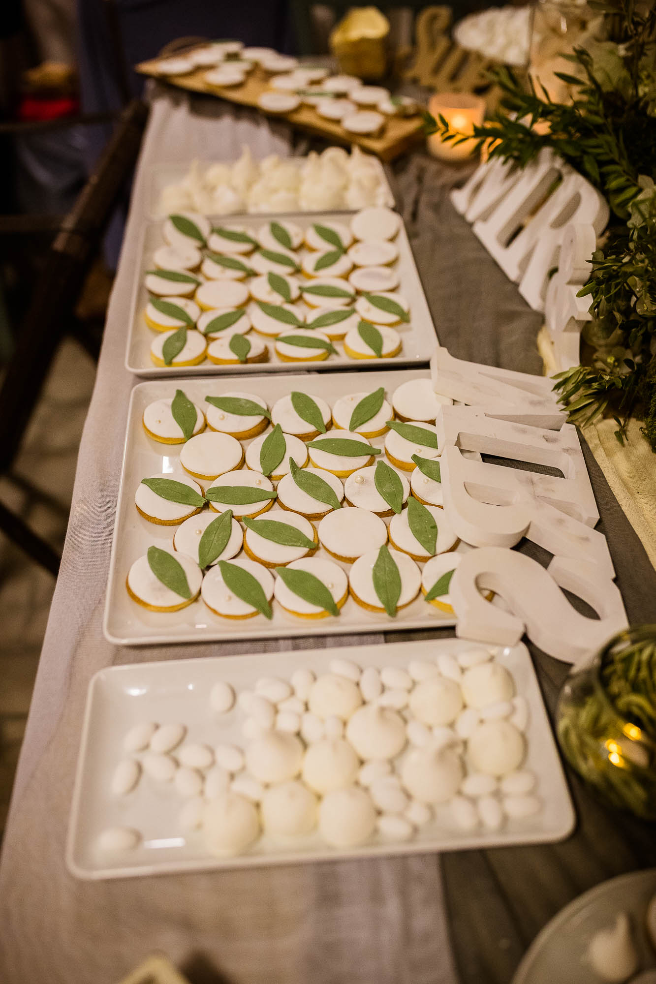 Export x3 1DX25304 Reportage