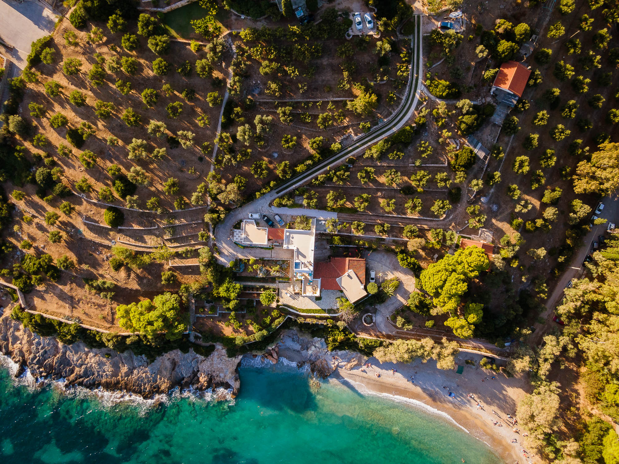 Export x3 PANO0001 100 0950