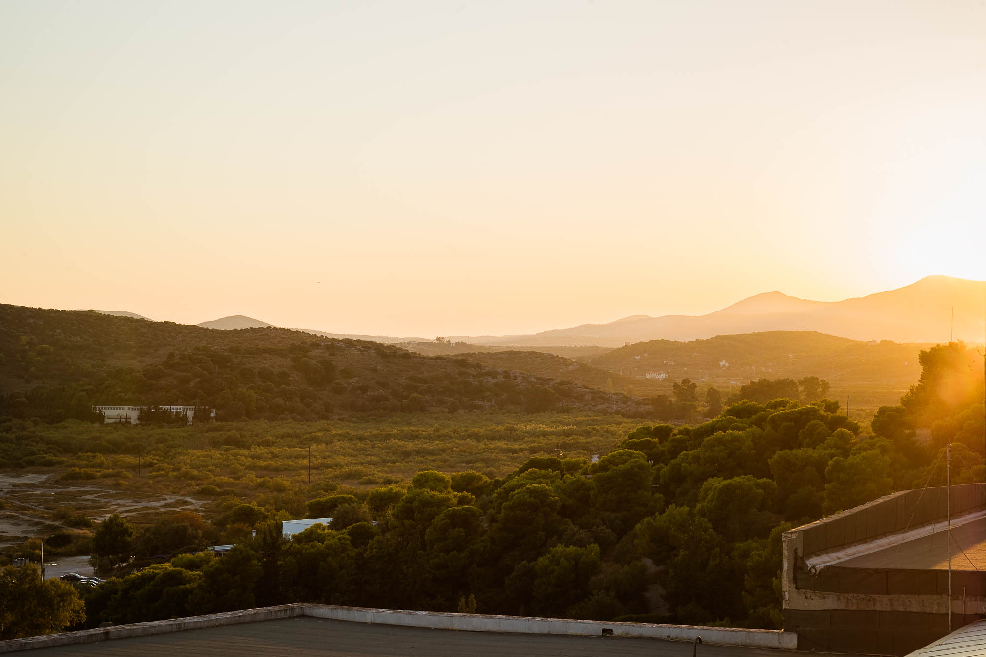 Export x3 1DX22328 Reportage