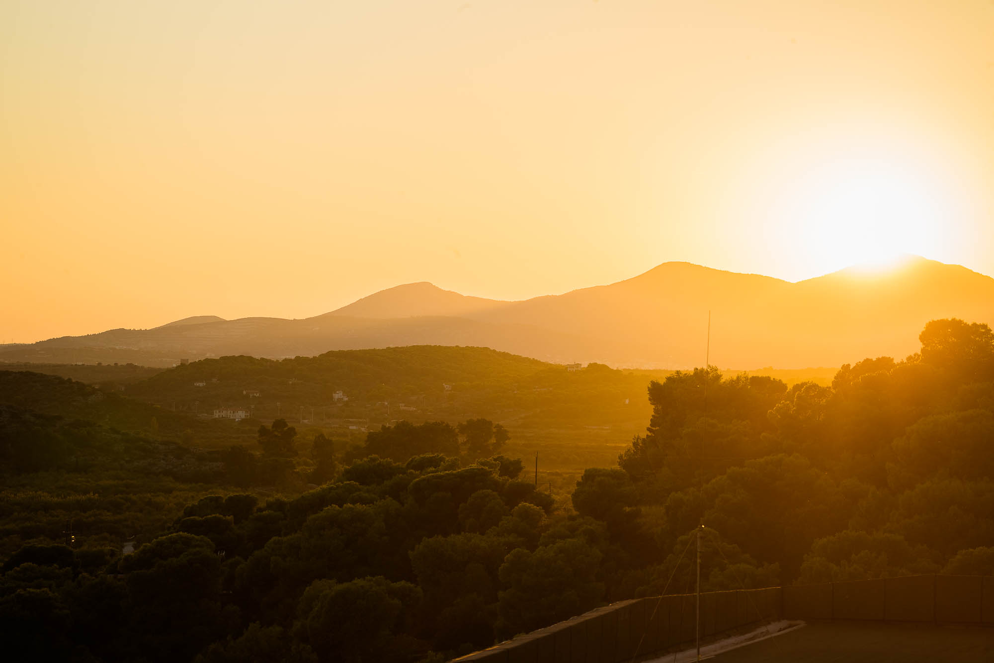 Export x3 1DX22330 Reportage