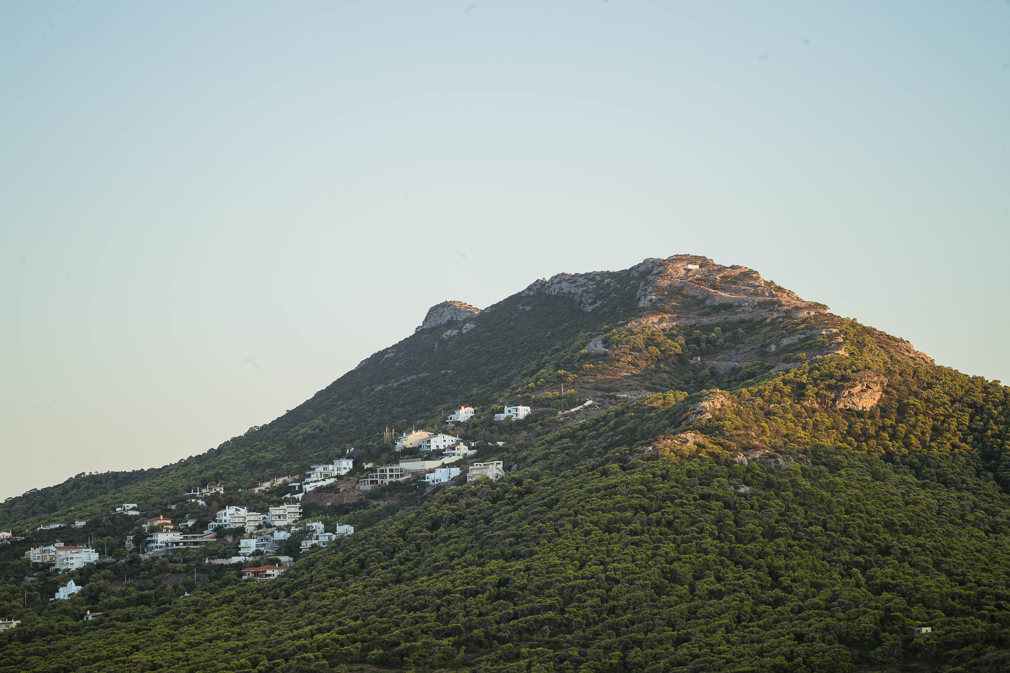 Export x3 1DX22331 Reportage