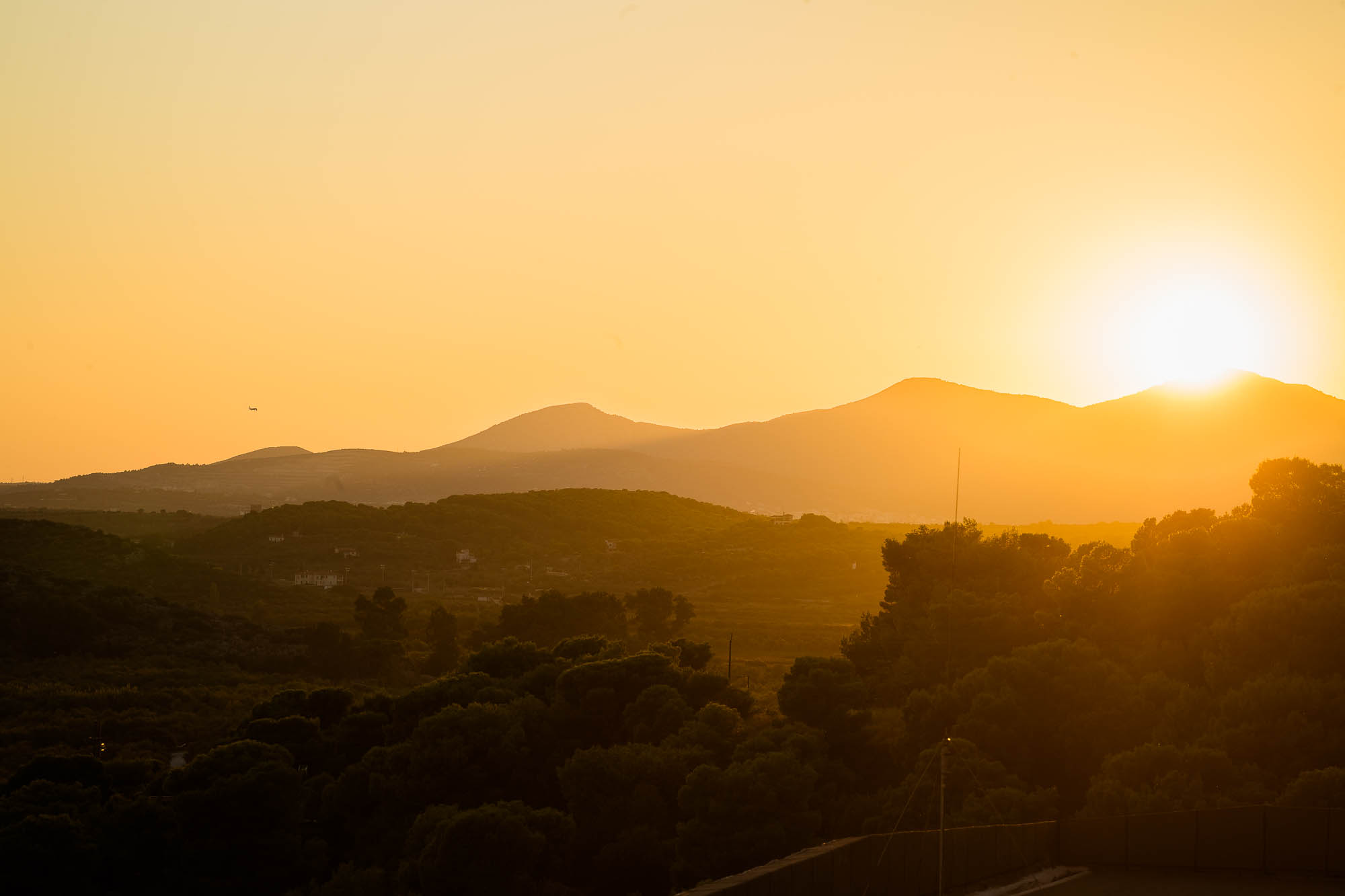 Export x3 1DX22332 Reportage