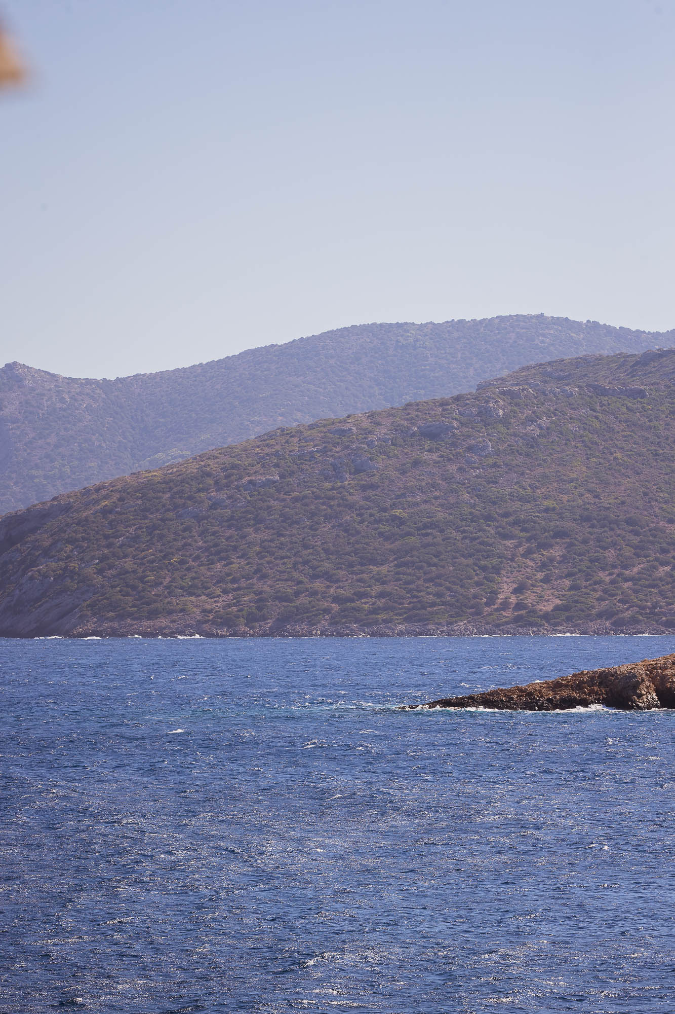 Export x3 1DX22383 Reportage