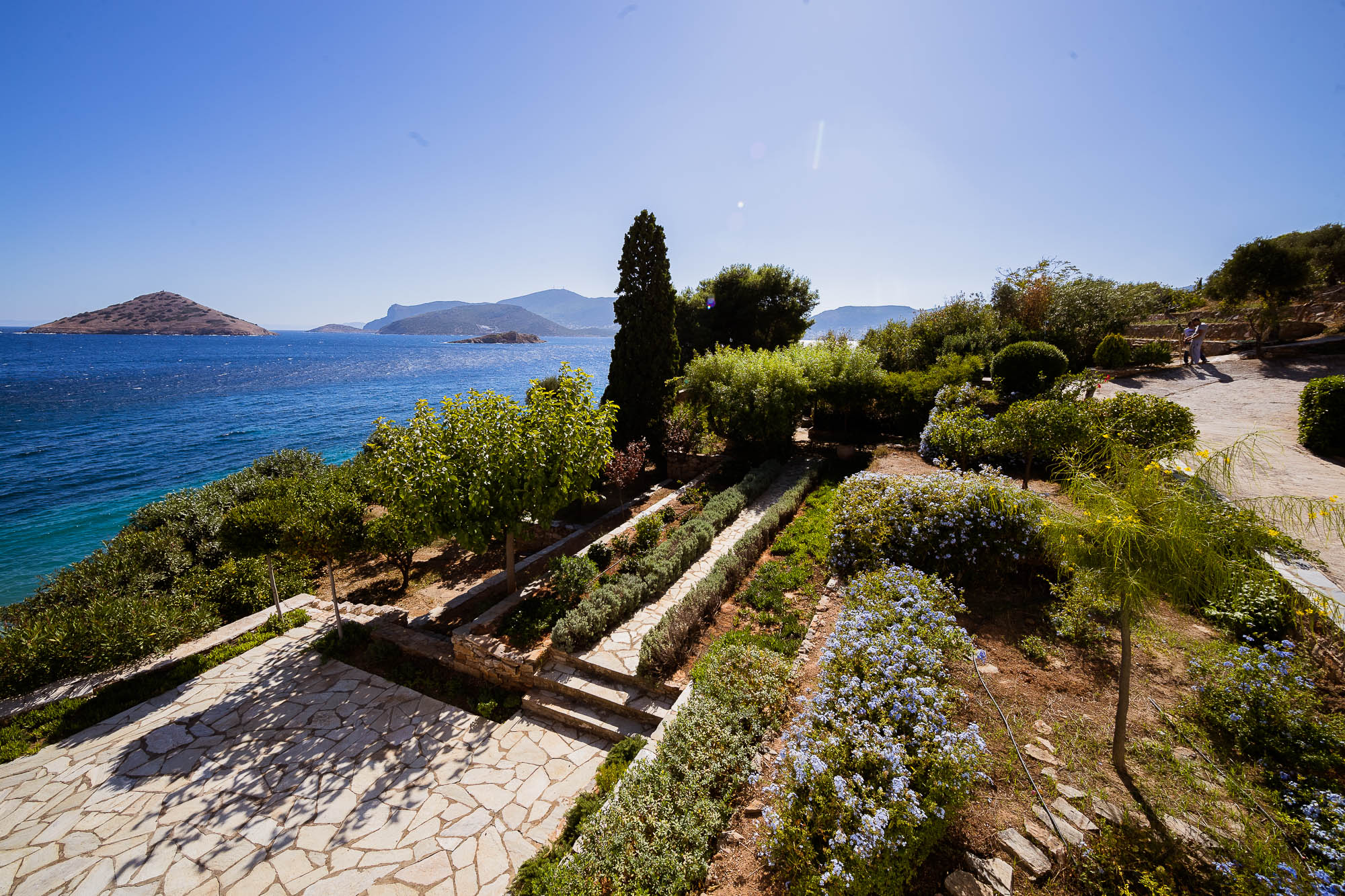 Export x3 1DX22388 Reportage